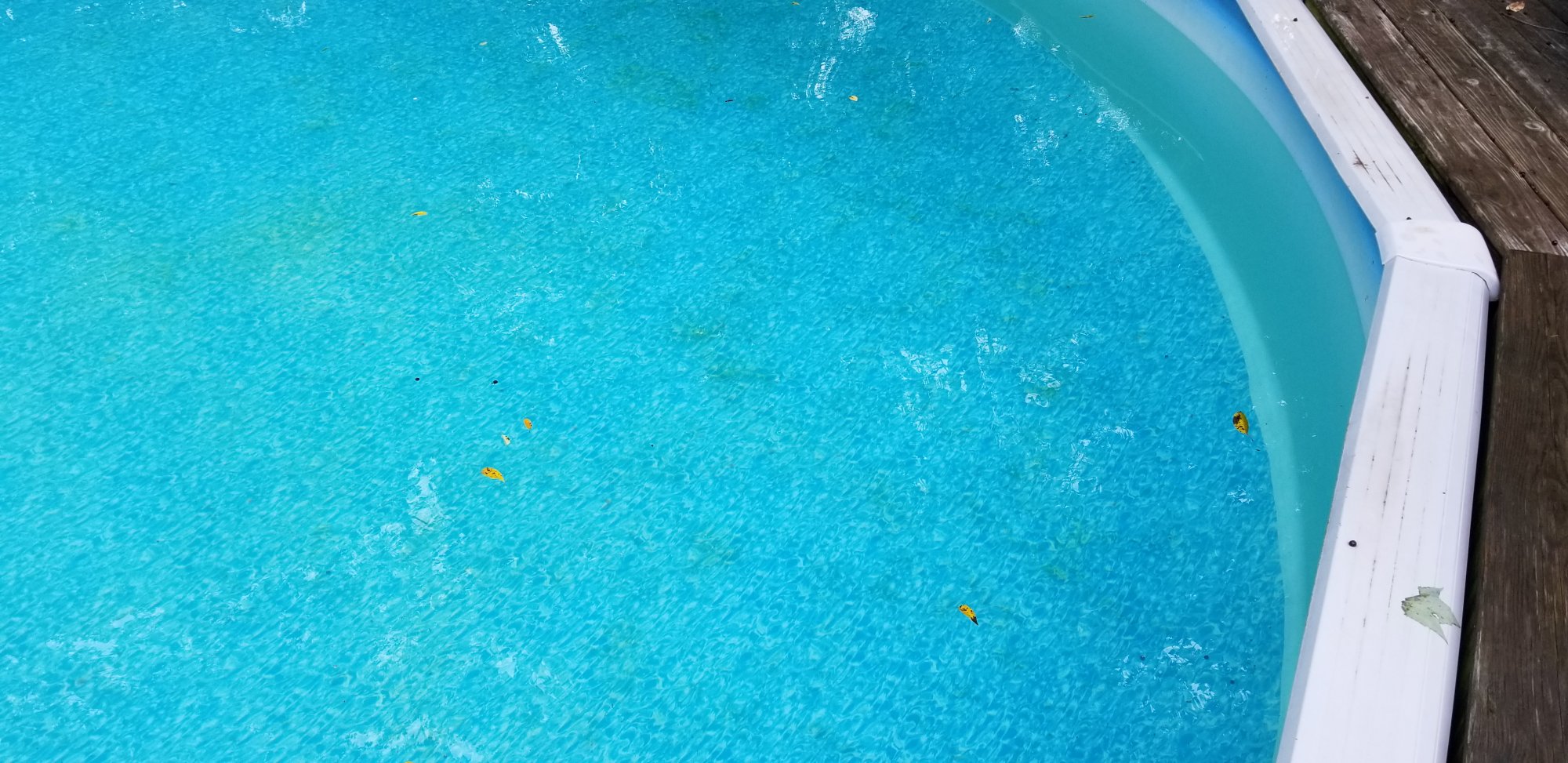 20190827_125137.jpg