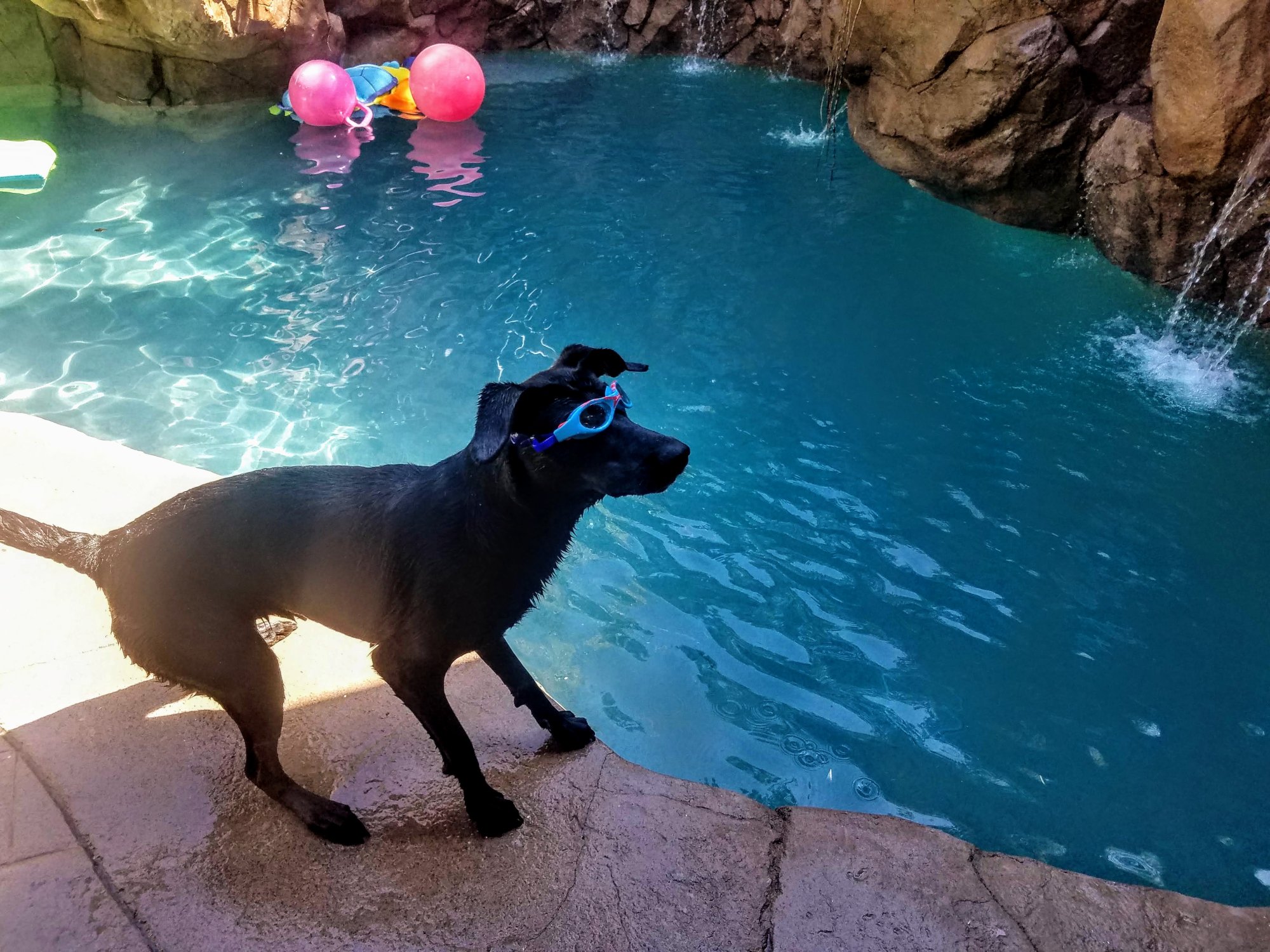 20190903_144204_Original.jpeg