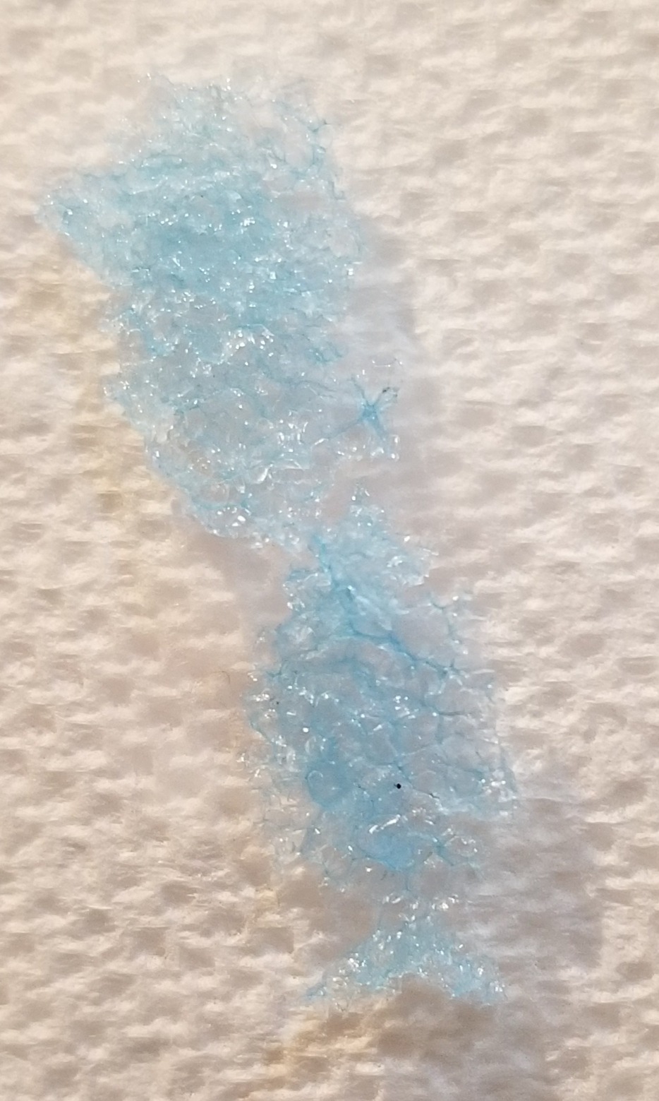 20190912_131018.jpg