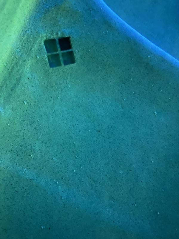 2020-11-08_PoolSunLedgeNodules1.jpg