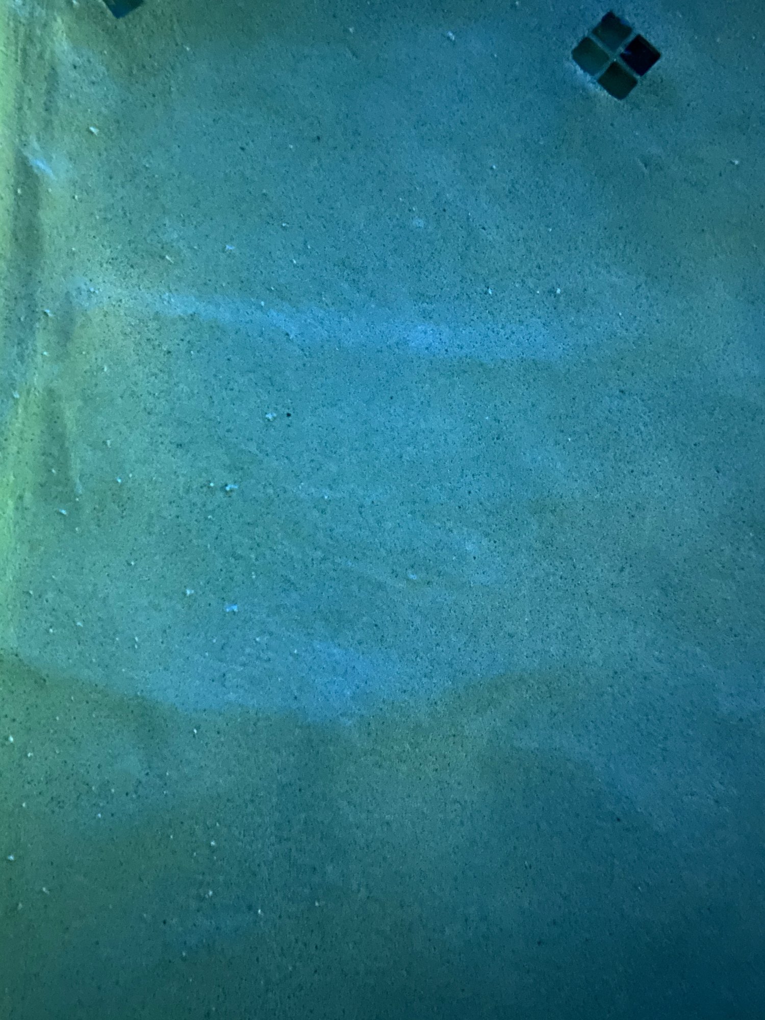 20201109_034811707_iOS.jpeg