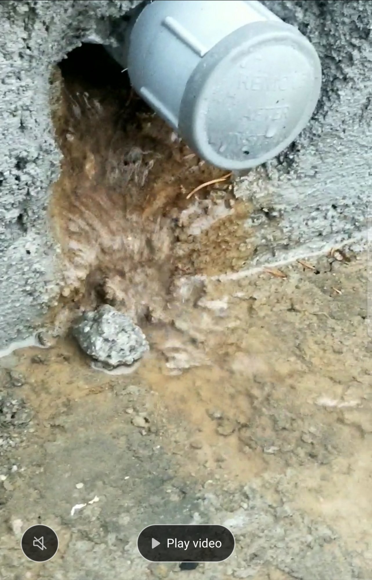 20201130_185129.jpg