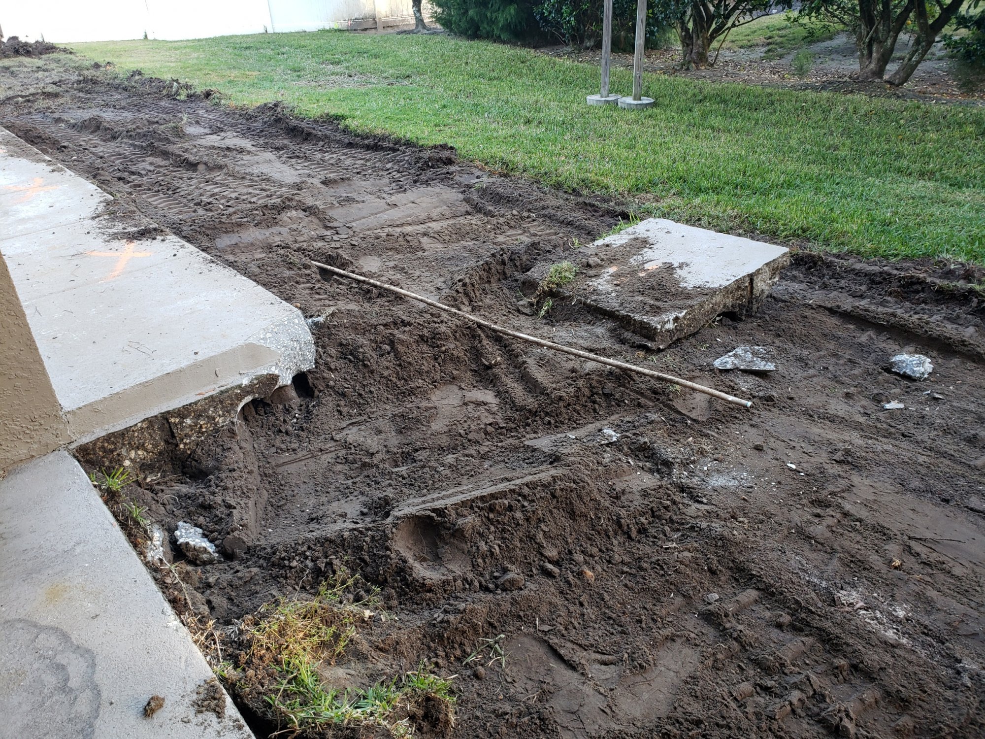 20201210_173011.jpg
