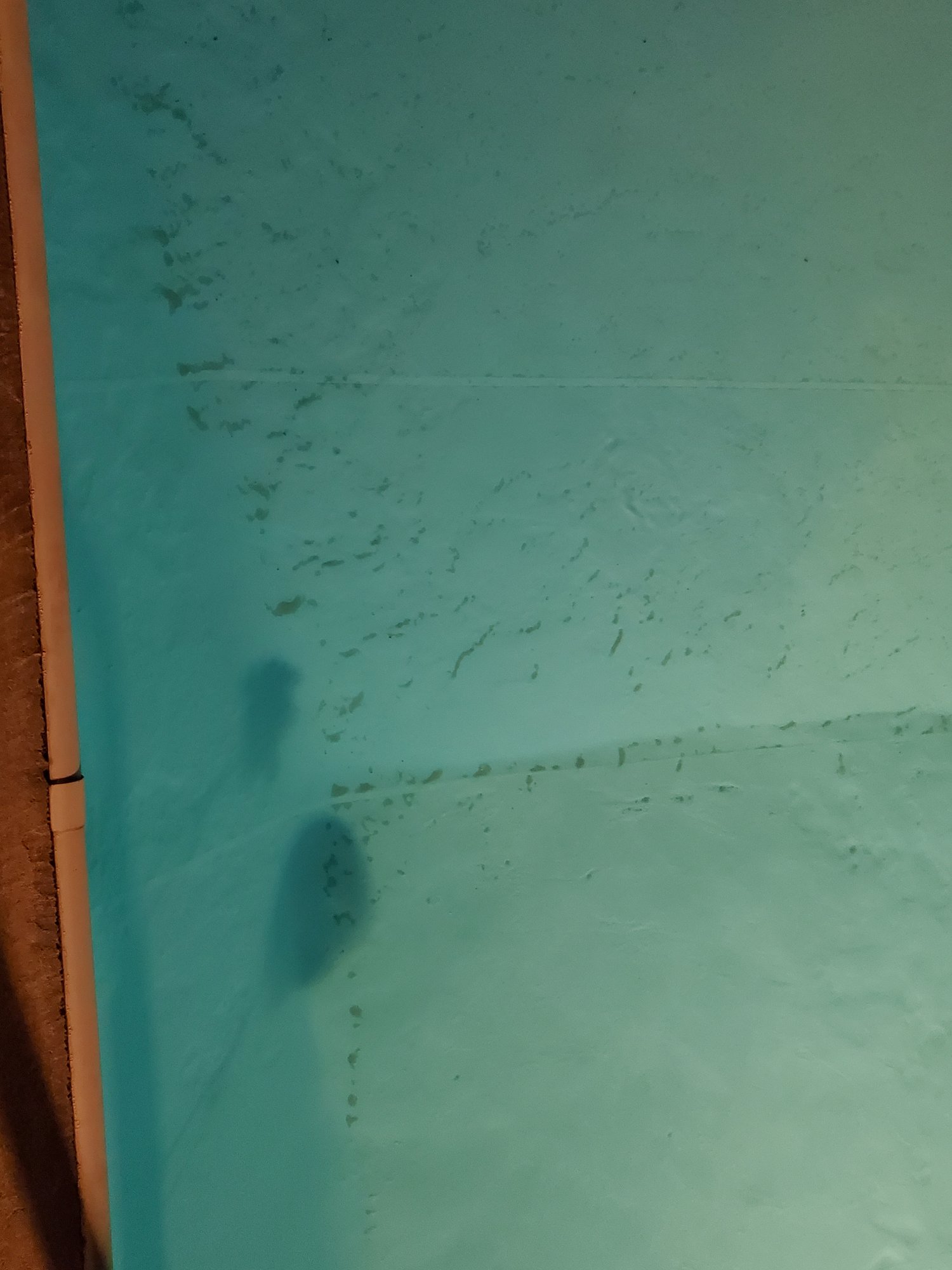 20210329_003340.jpg