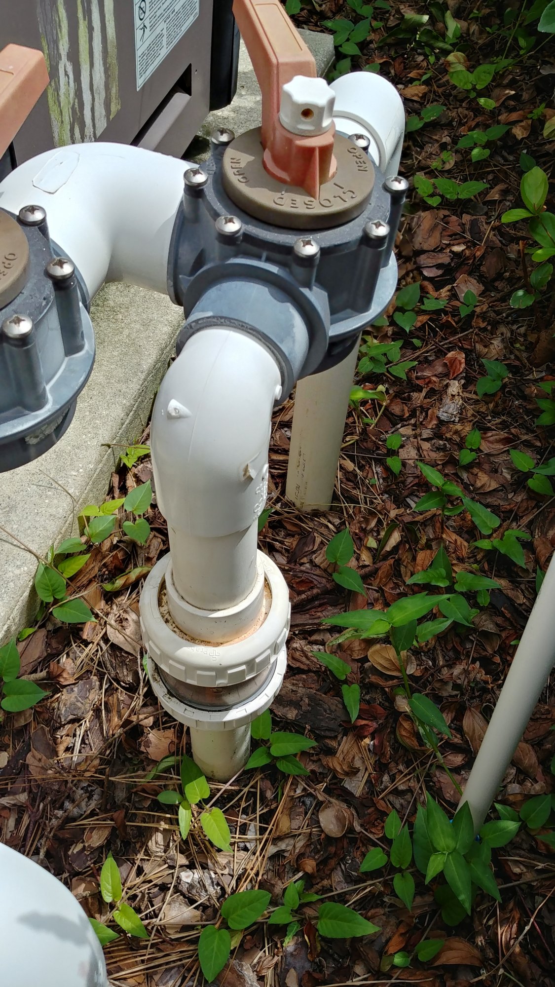 20210710_154647_HDR.jpg