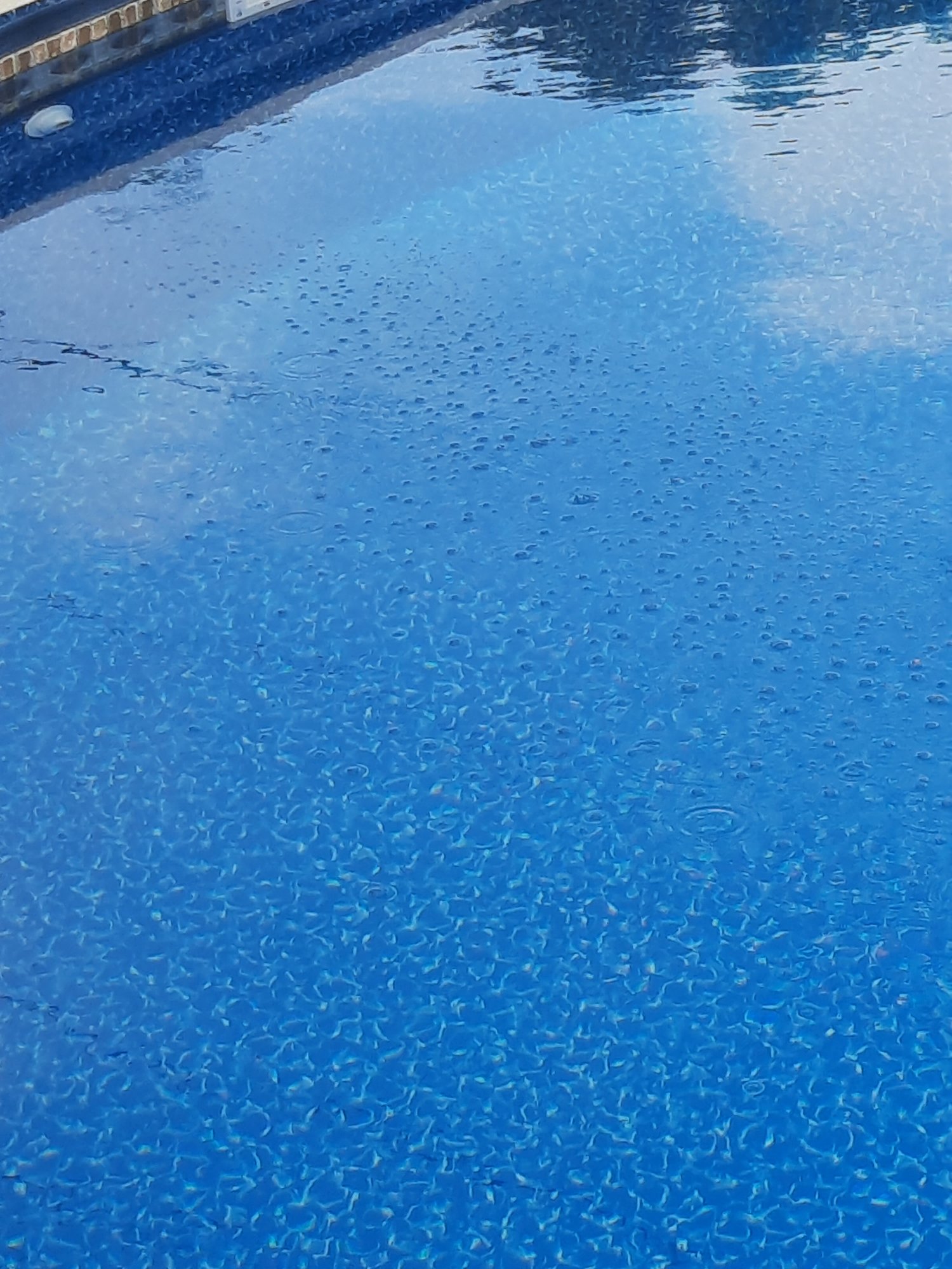 20210714_074654.jpg