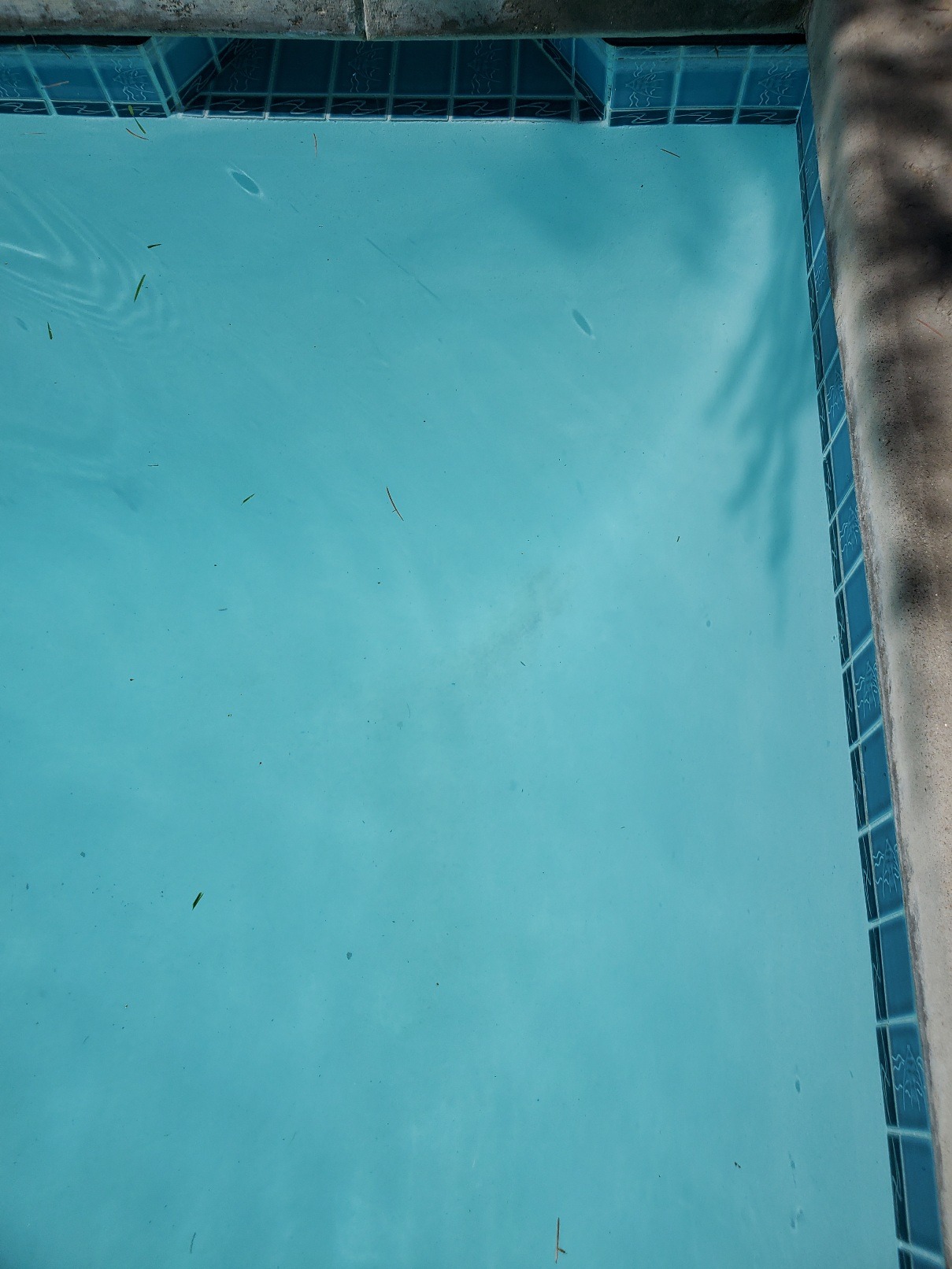 20210801_153904.jpg