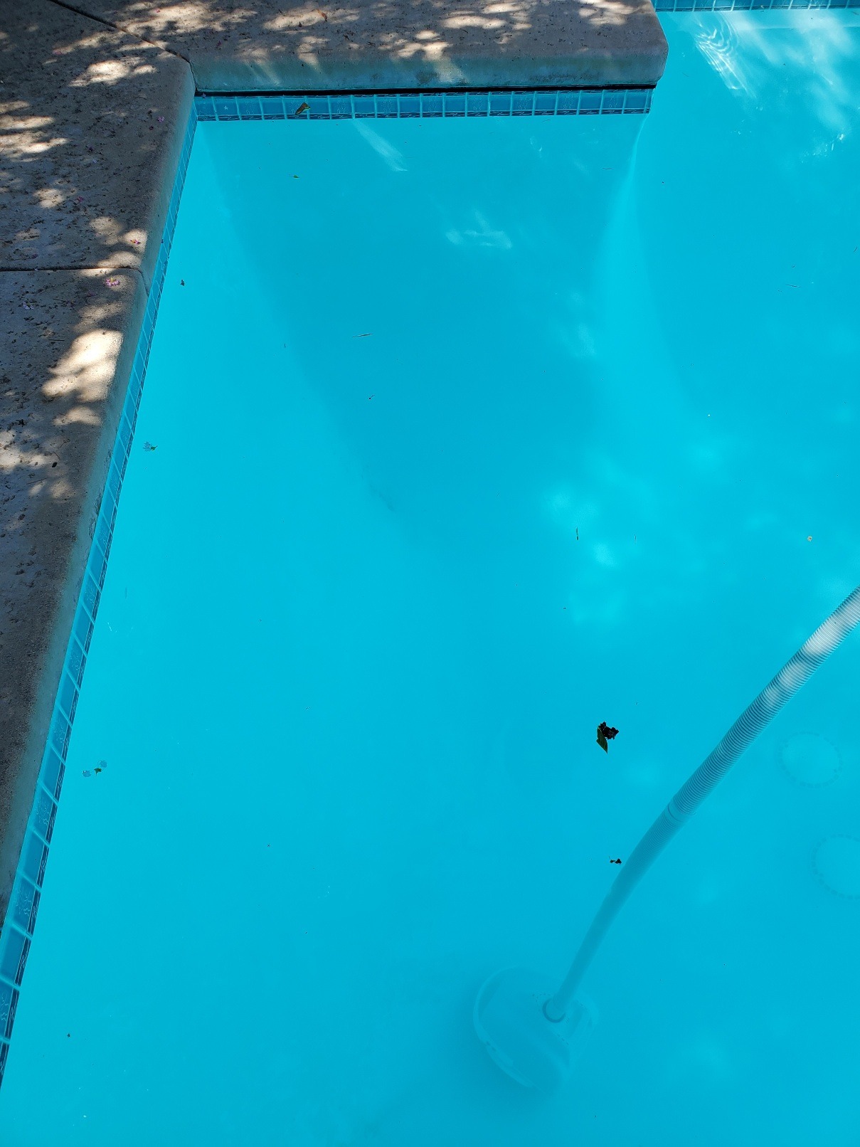 20210801_153924.jpg