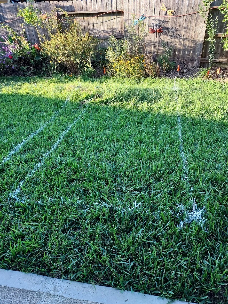 20211004_180708.jpg