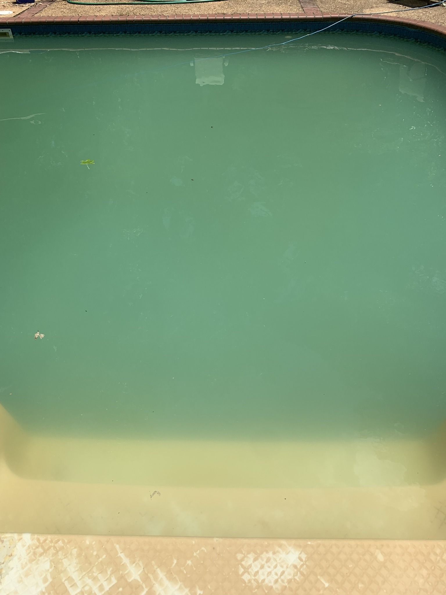 2021_06_17a.JPEG