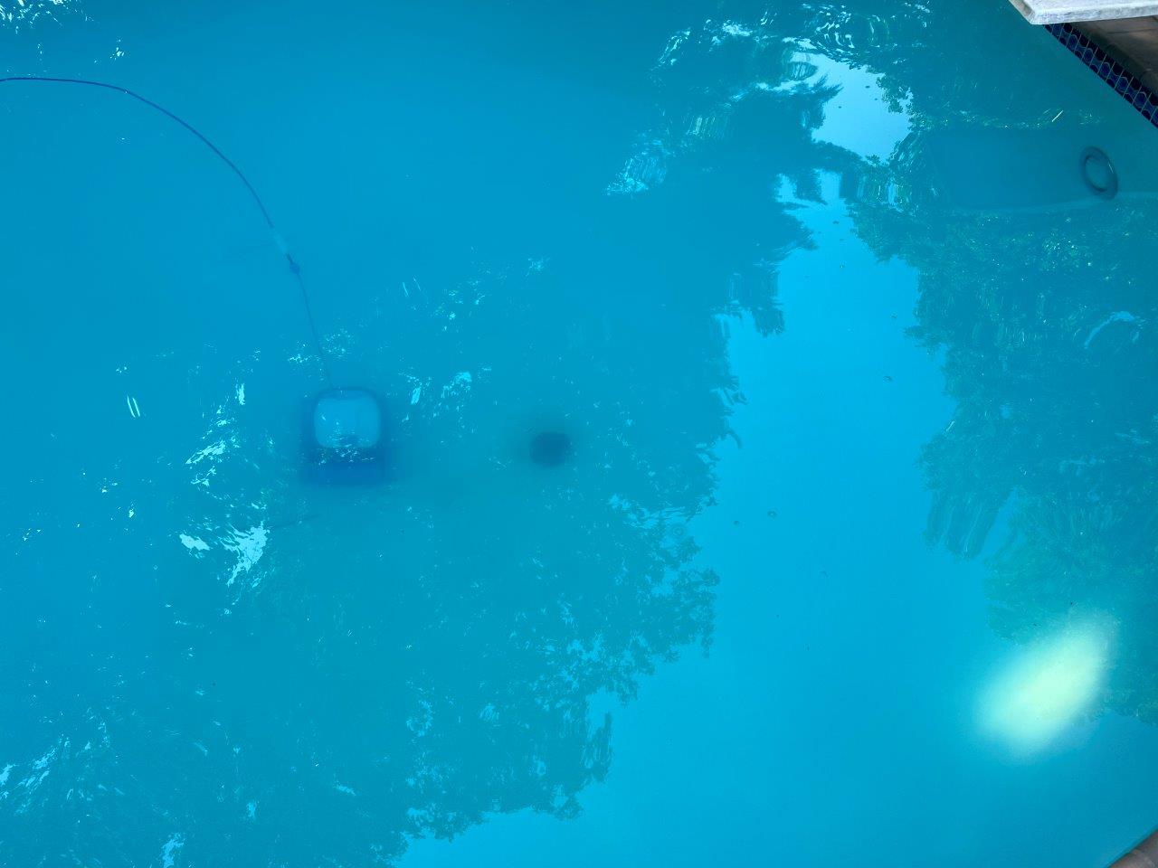 2022-08-03 09.59.22.jpg