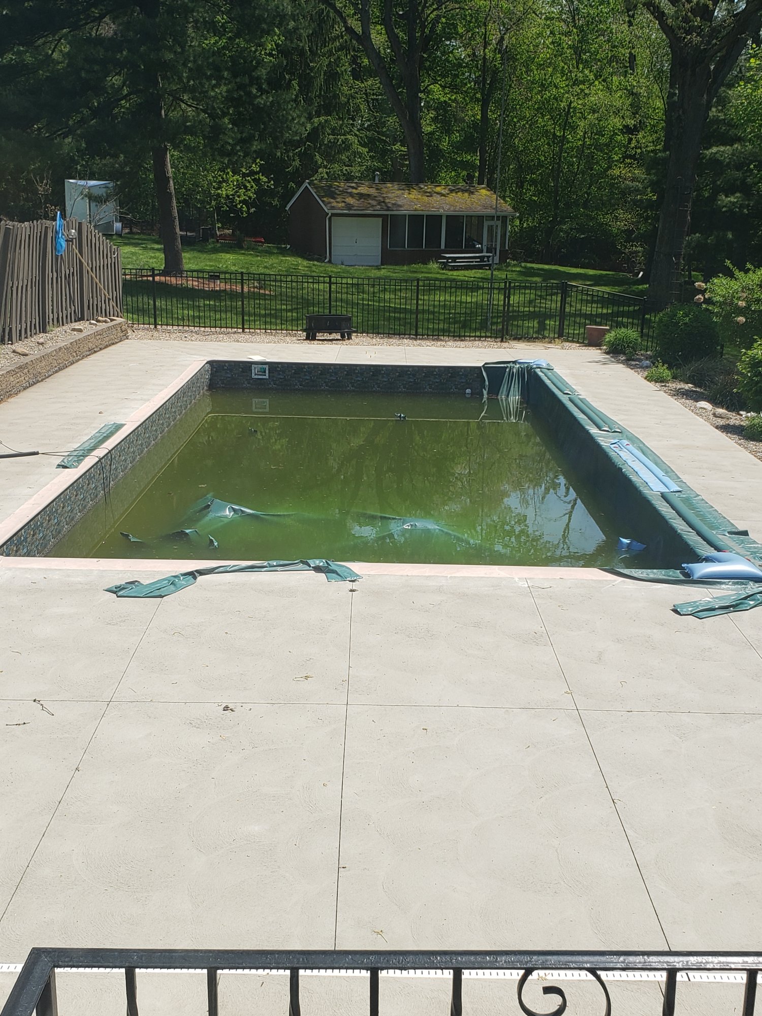 2022- Pool at opening.jpg