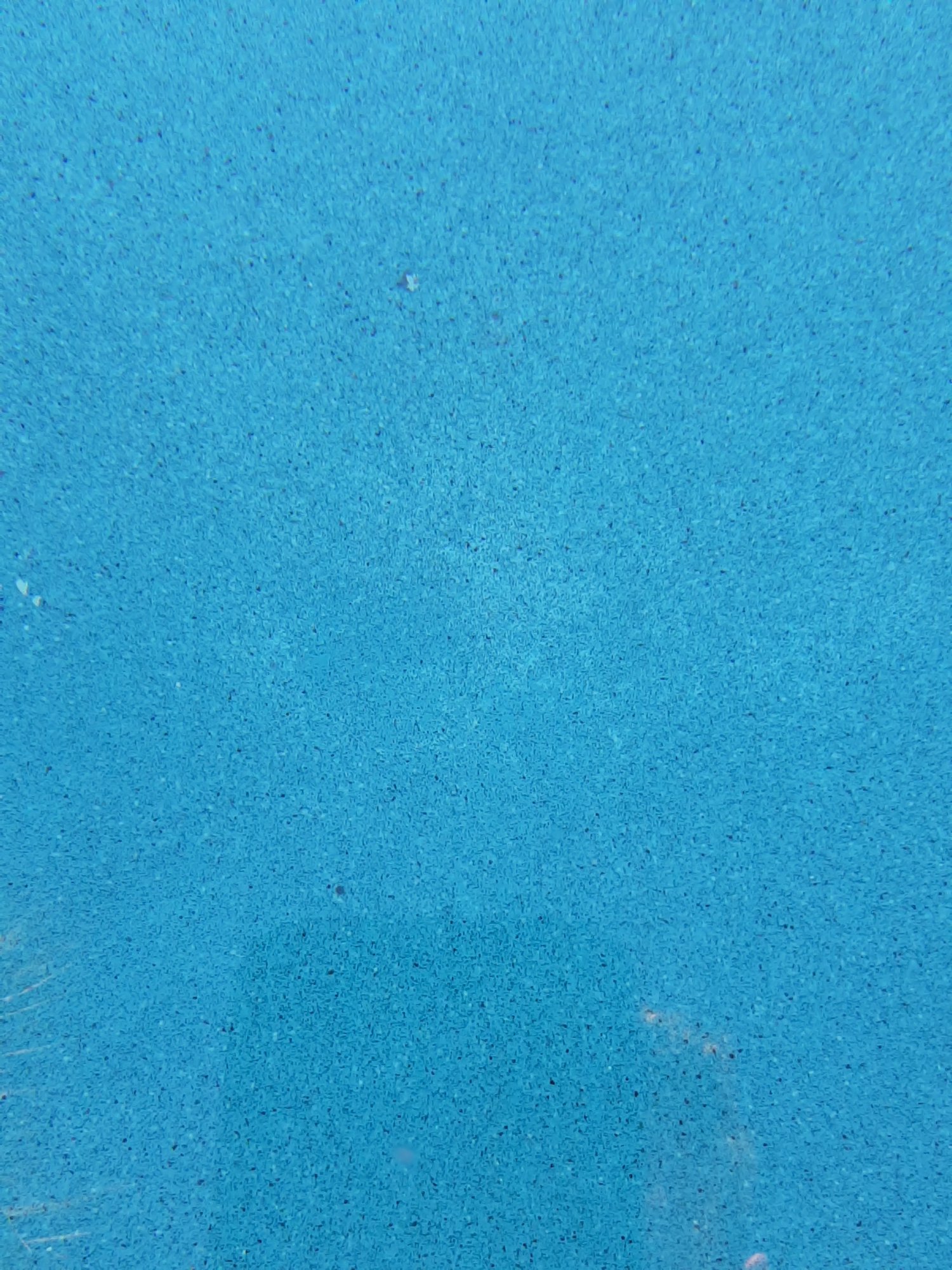 20220219_170801.jpg