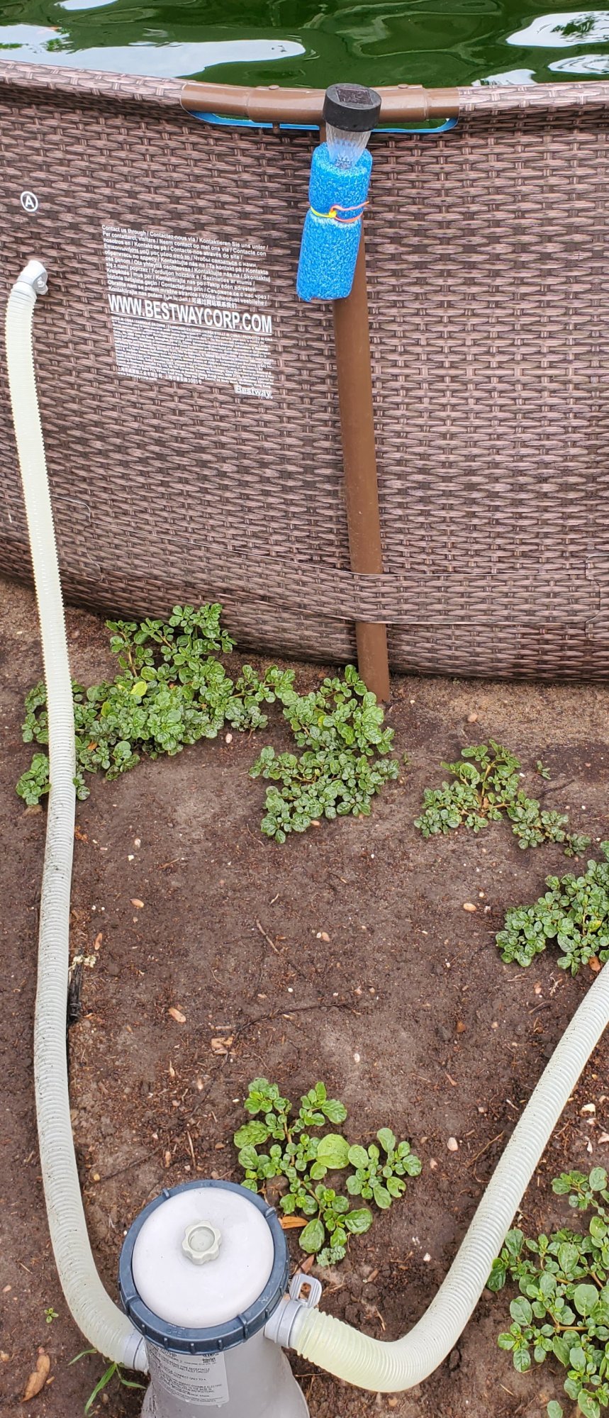 20220716_090245.jpg