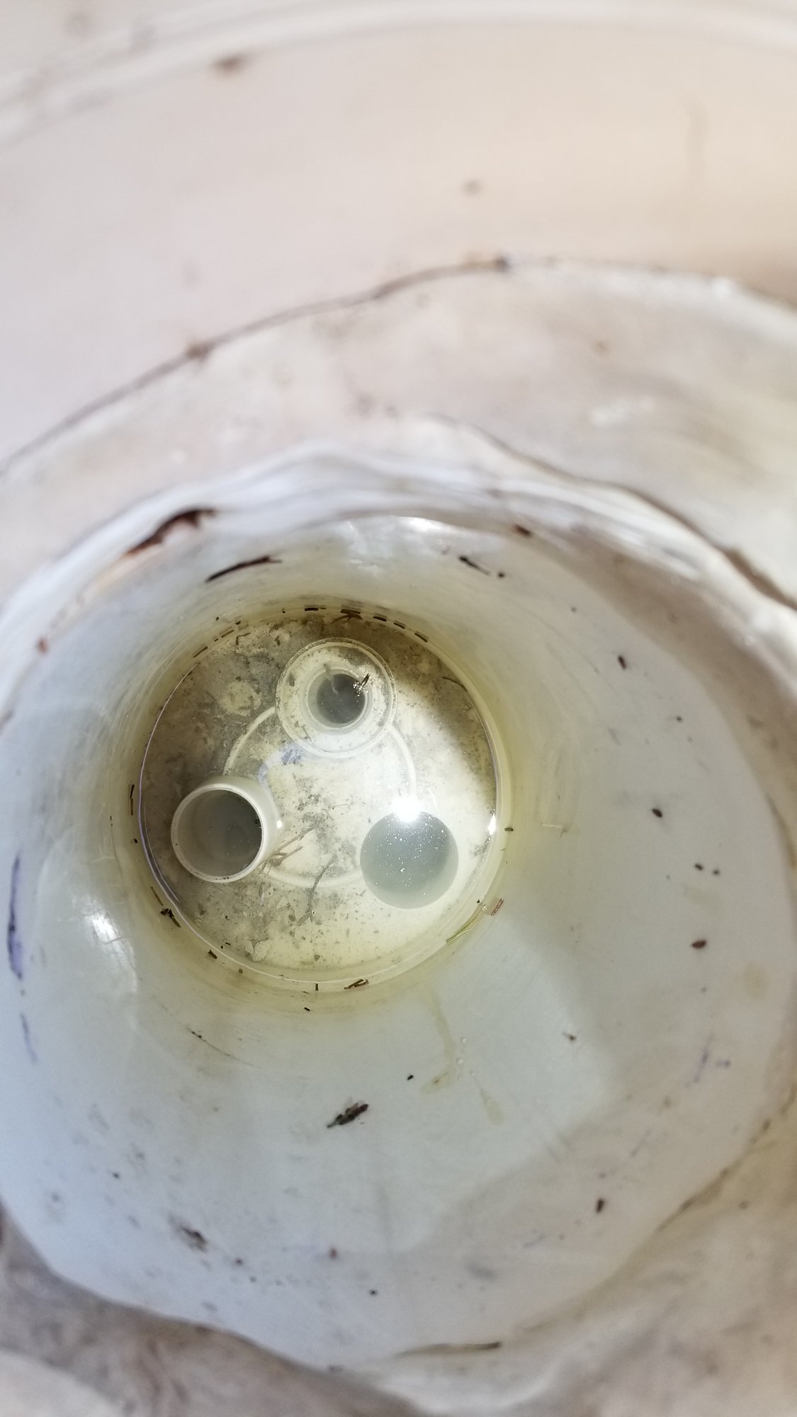 20220719_082848.jpg