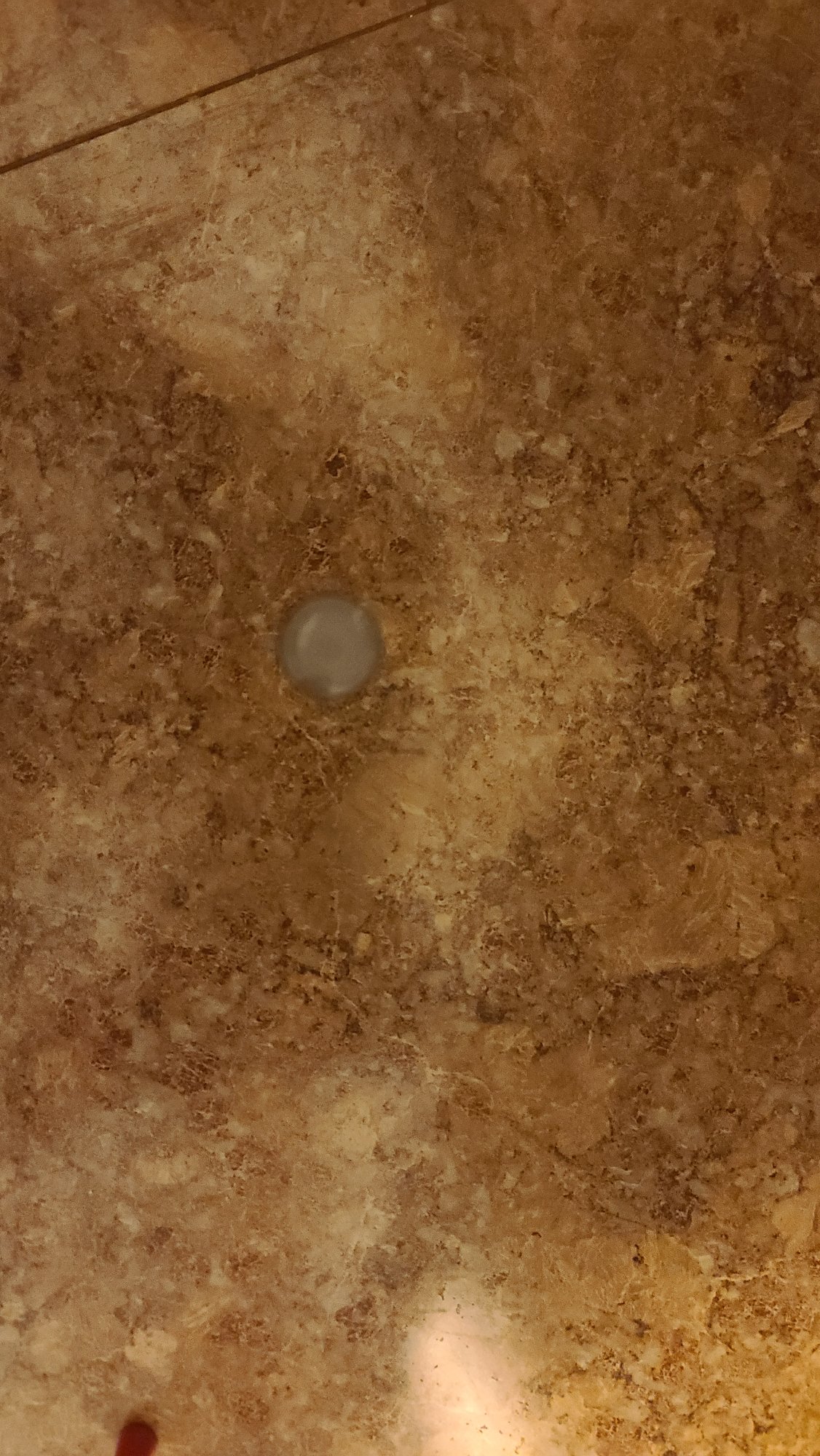 20220906_164610.jpg