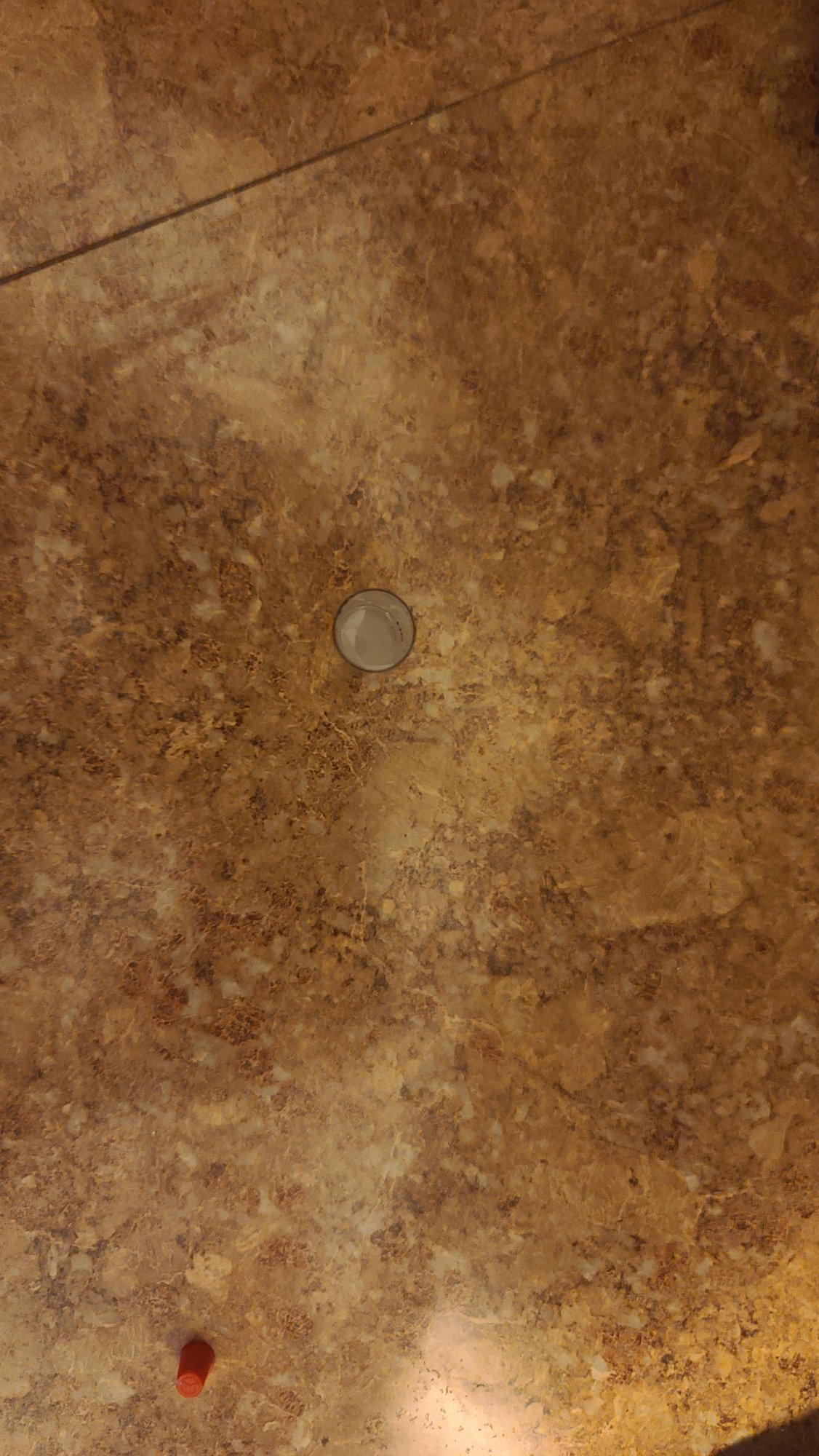 20220906_164626.jpg