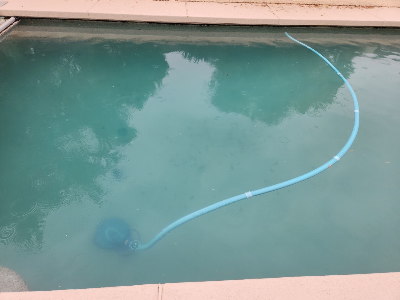 20220921_111044 Large.jpeg