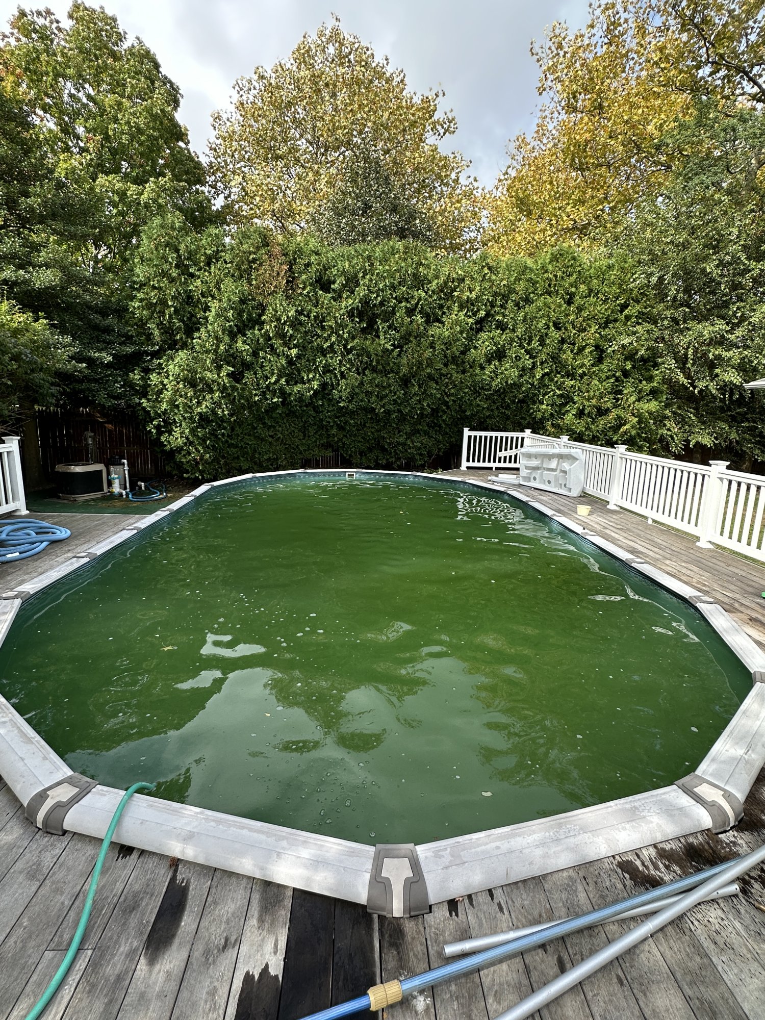 2024-09-23 Pool.JPG