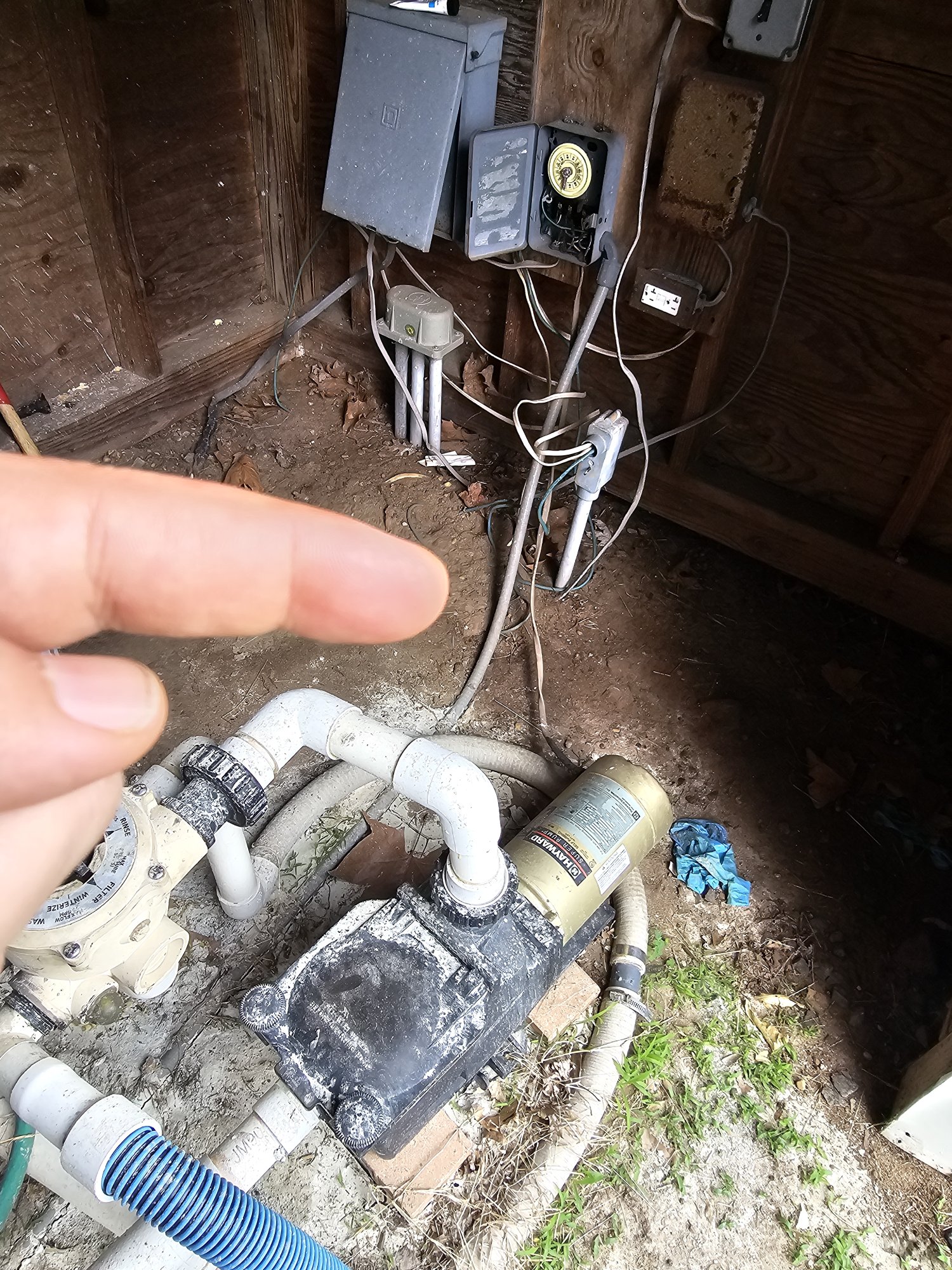 20240606_160211.jpg