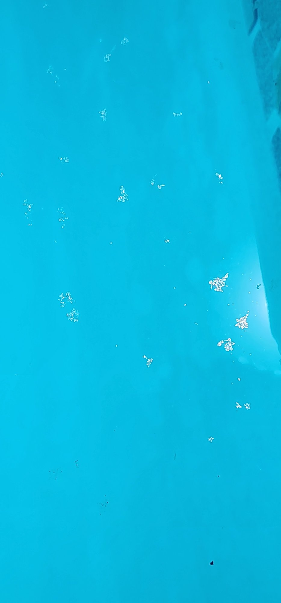 20240607_141237.jpg