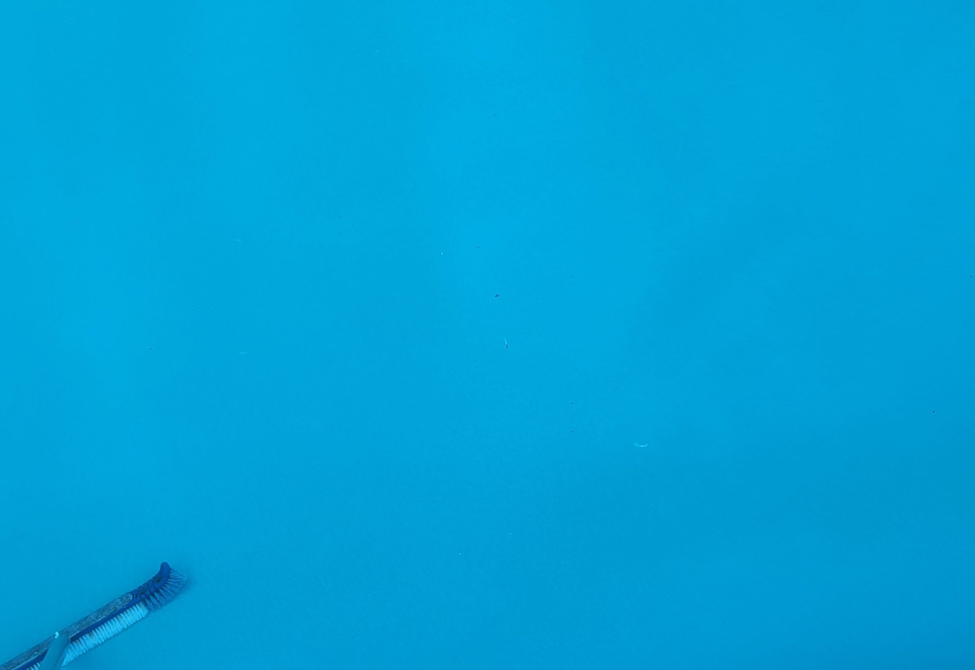 20240610_063917.jpg