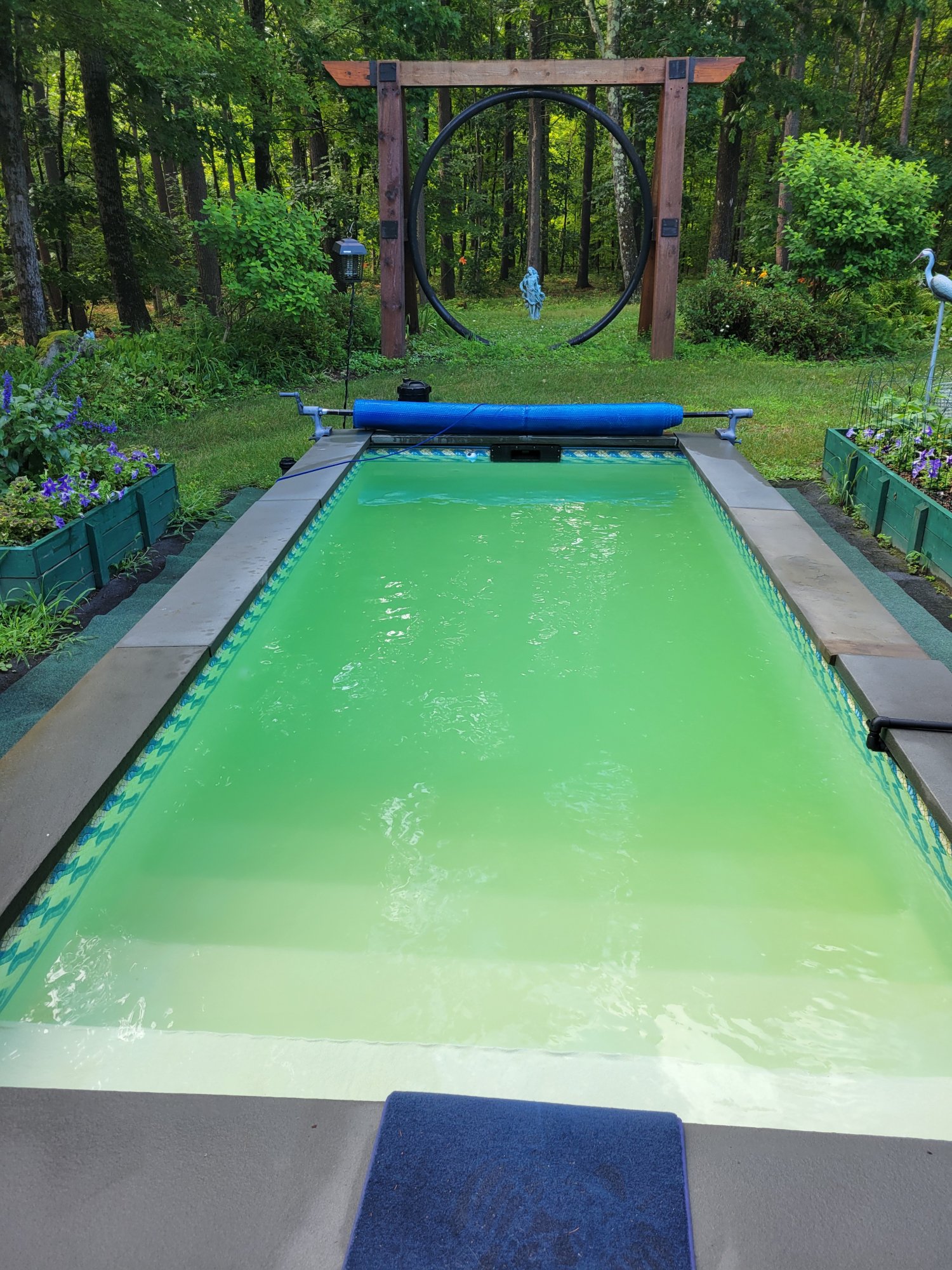 20240706_pool.jpg