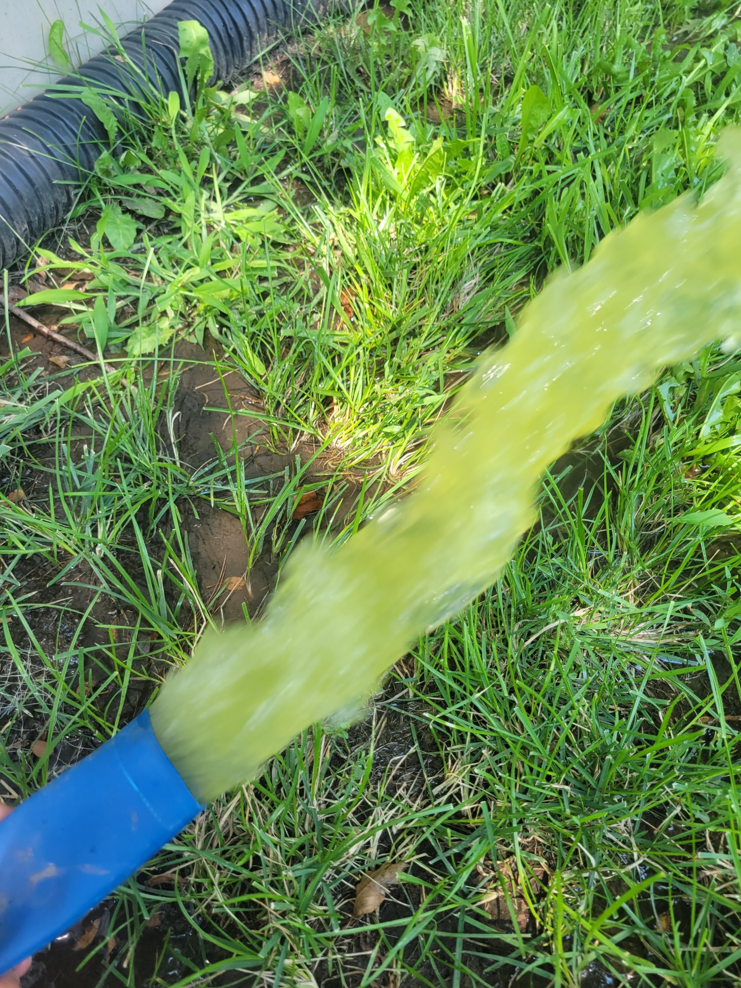 20240710_121123.jpg