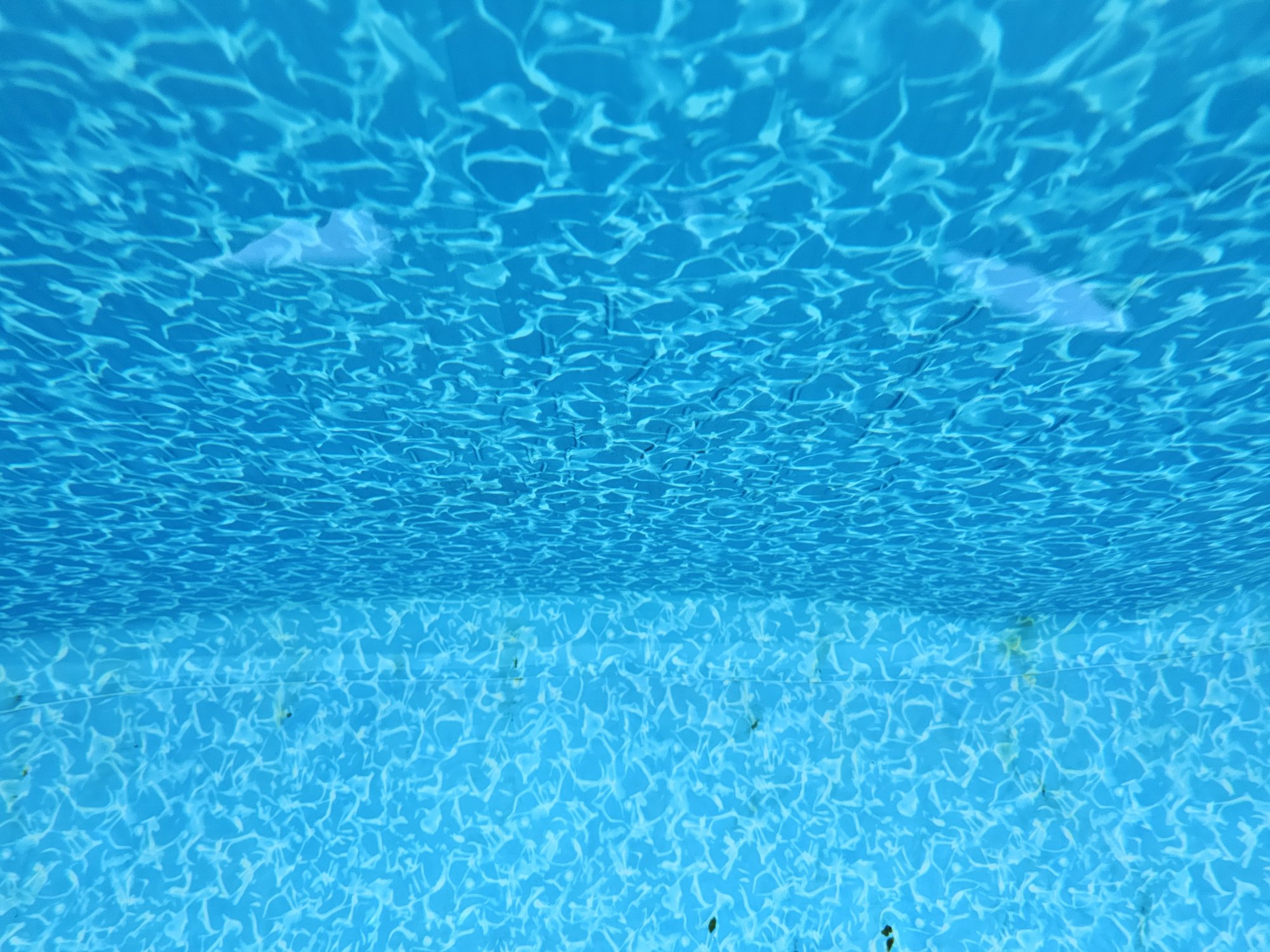 20240908_063732.jpg
