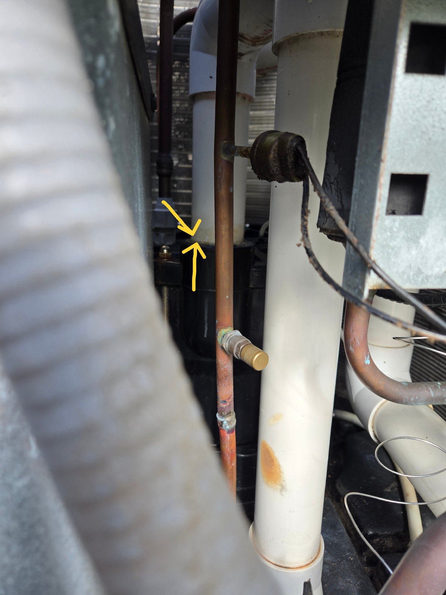 20250405_Pool heater leak2_Arrows.JPG