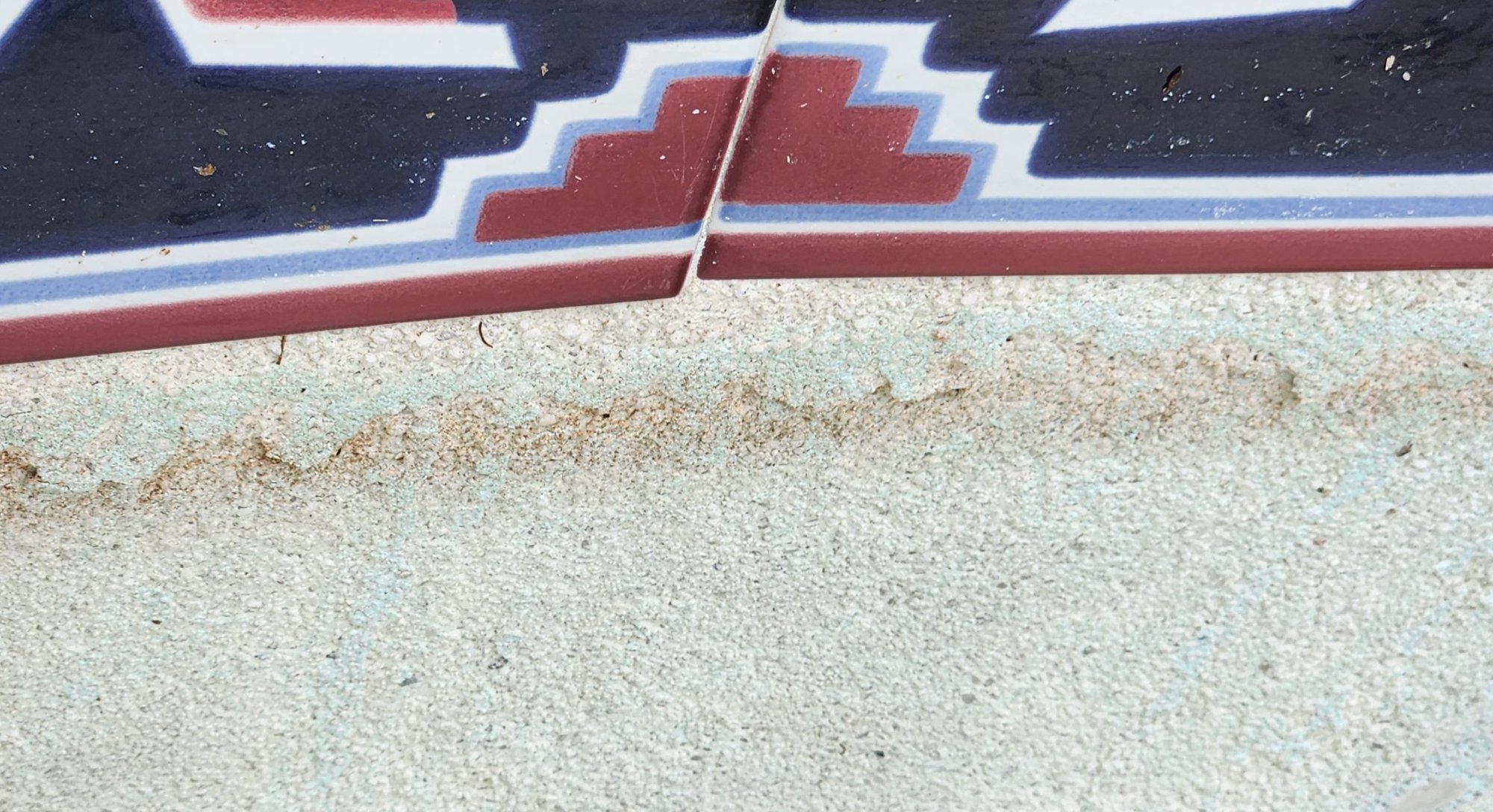 20250424_113241.jpg