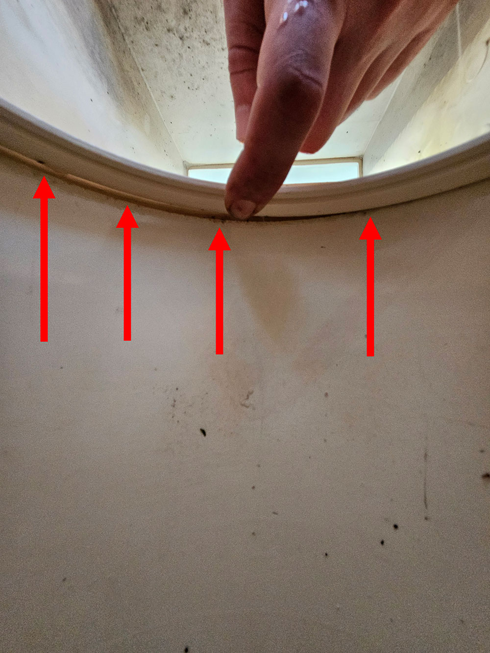20250424_190854.jpg