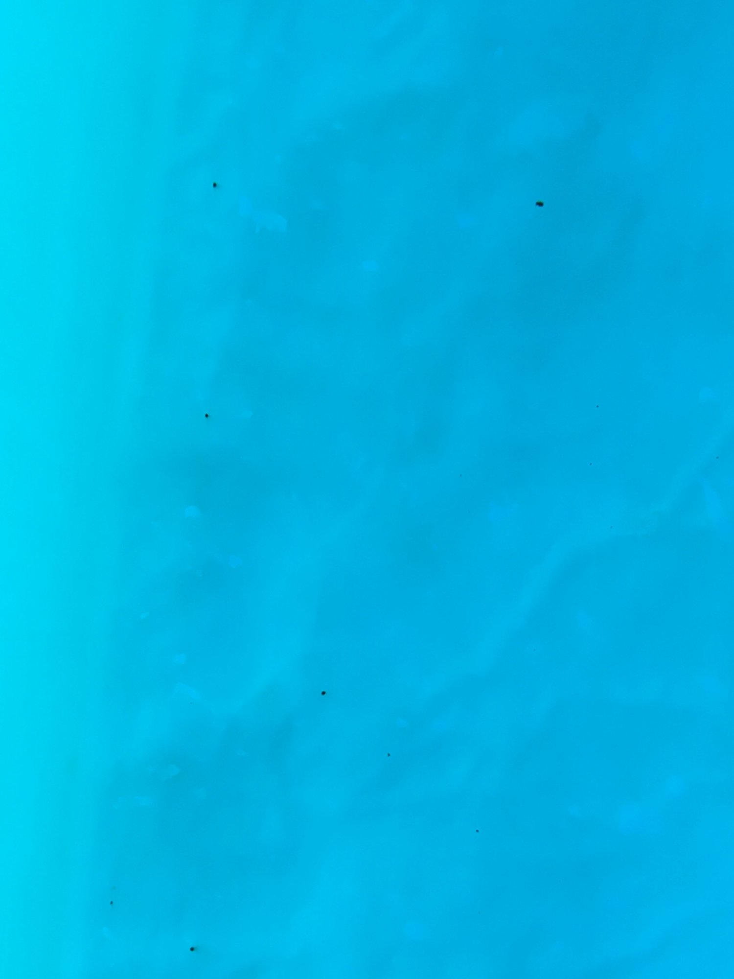 20C7CFD0-2999-494D-9479-EAE580EAD0CC.jpeg