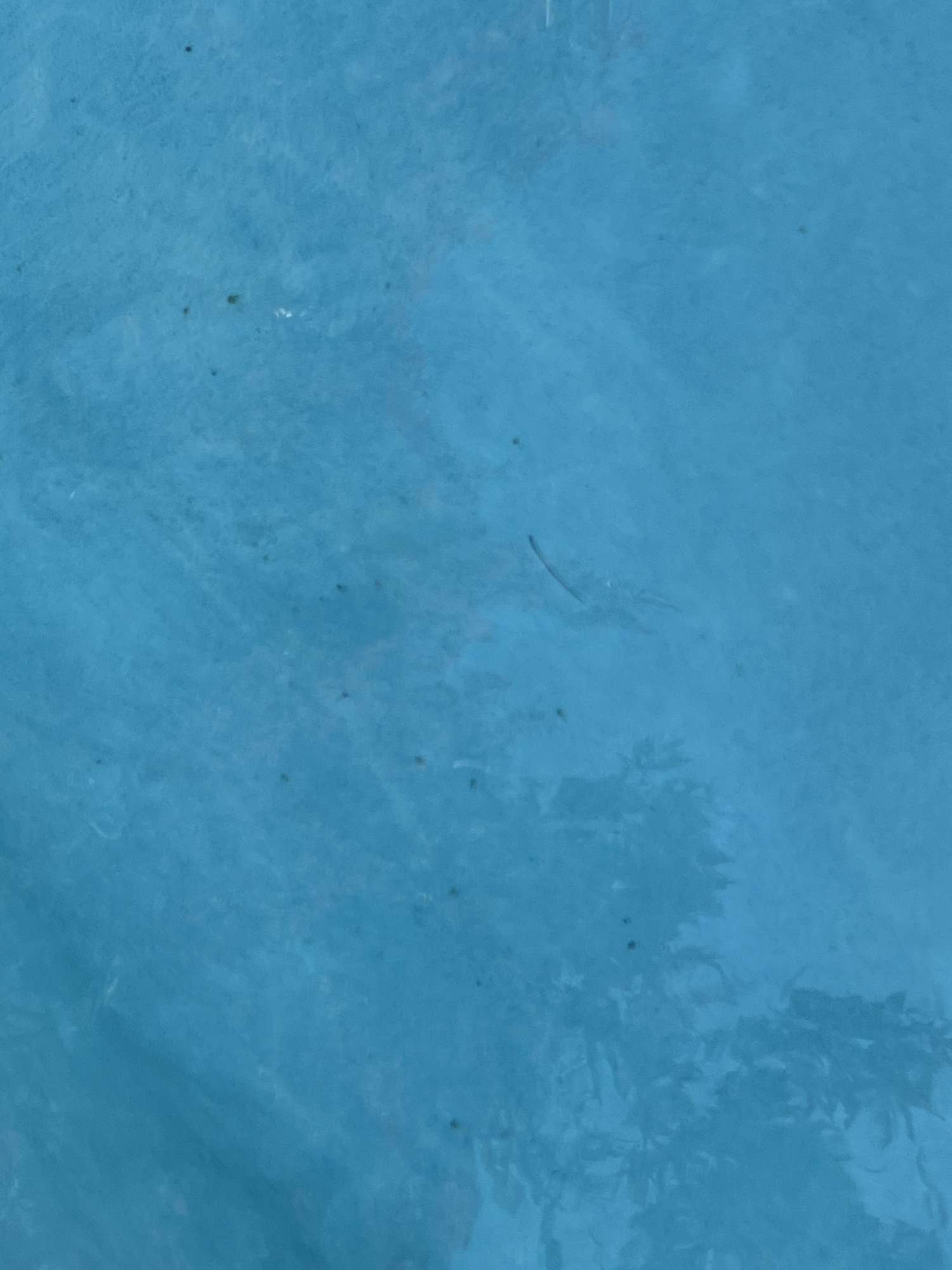 2138D18B-4E66-47E5-BDC4-0C3B92469C2C.jpeg