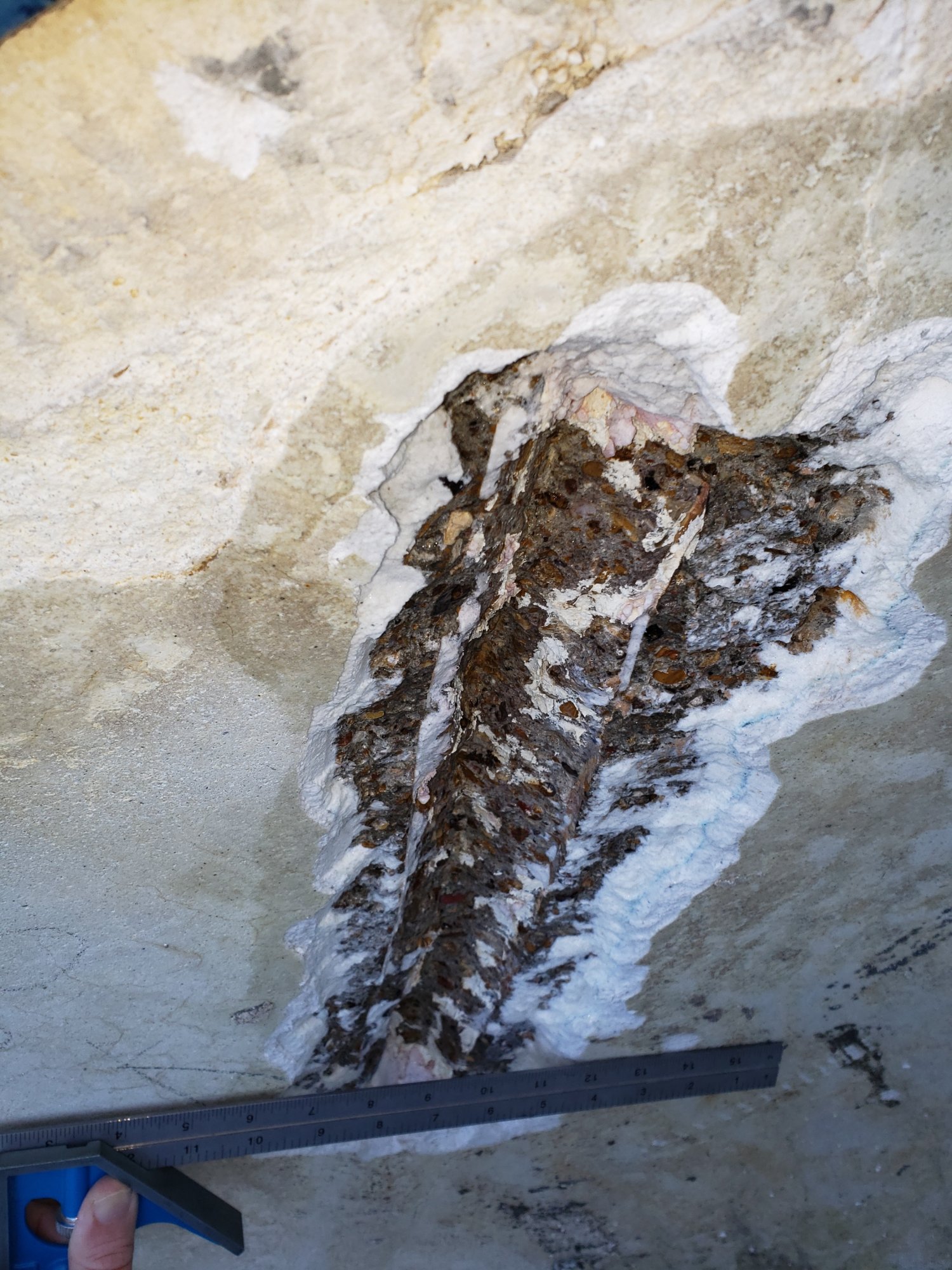 231 (8)_resized_1.jpg