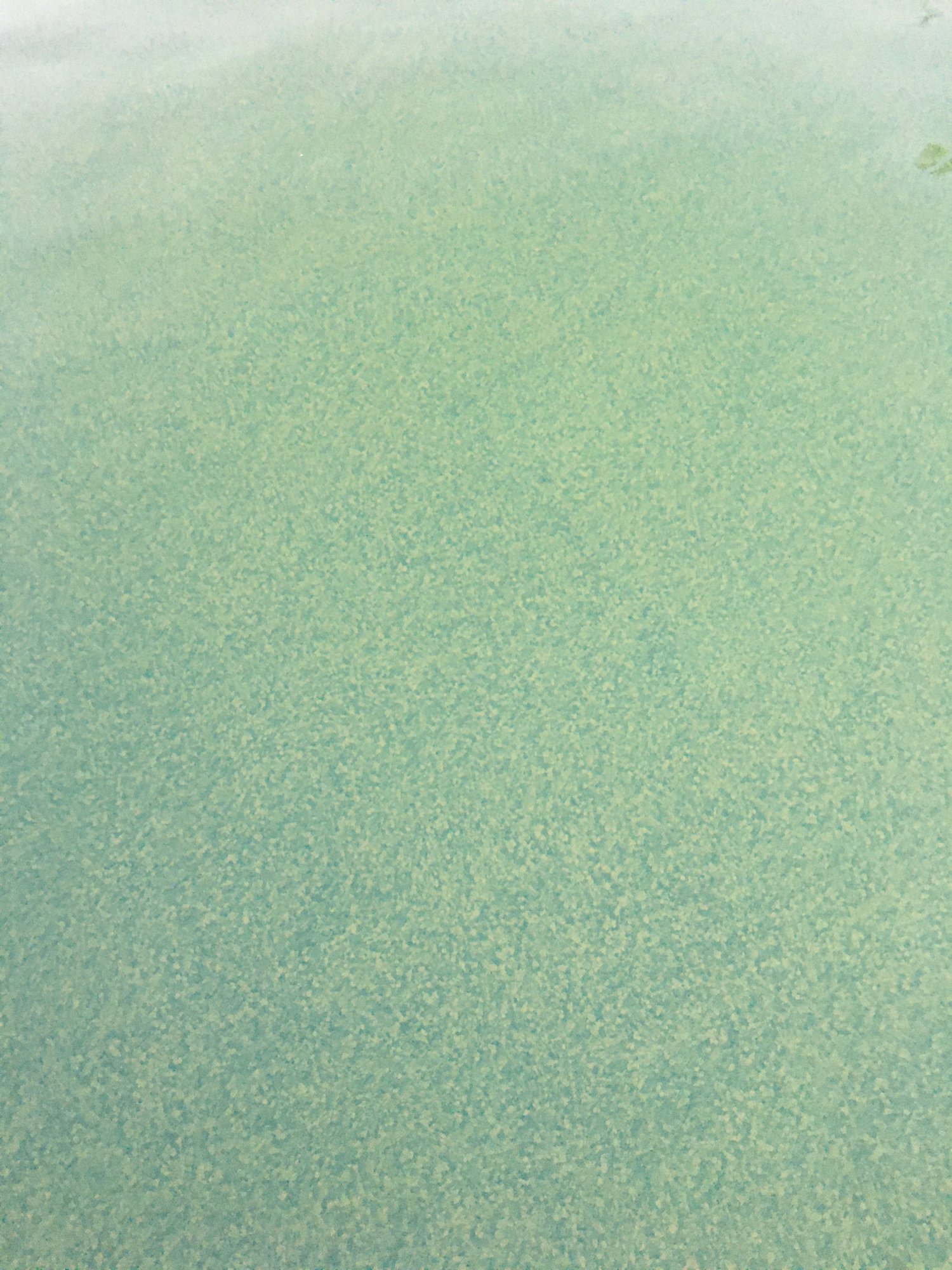 23905CAC-B108-400A-8B47-E374B51EC5BB.jpeg