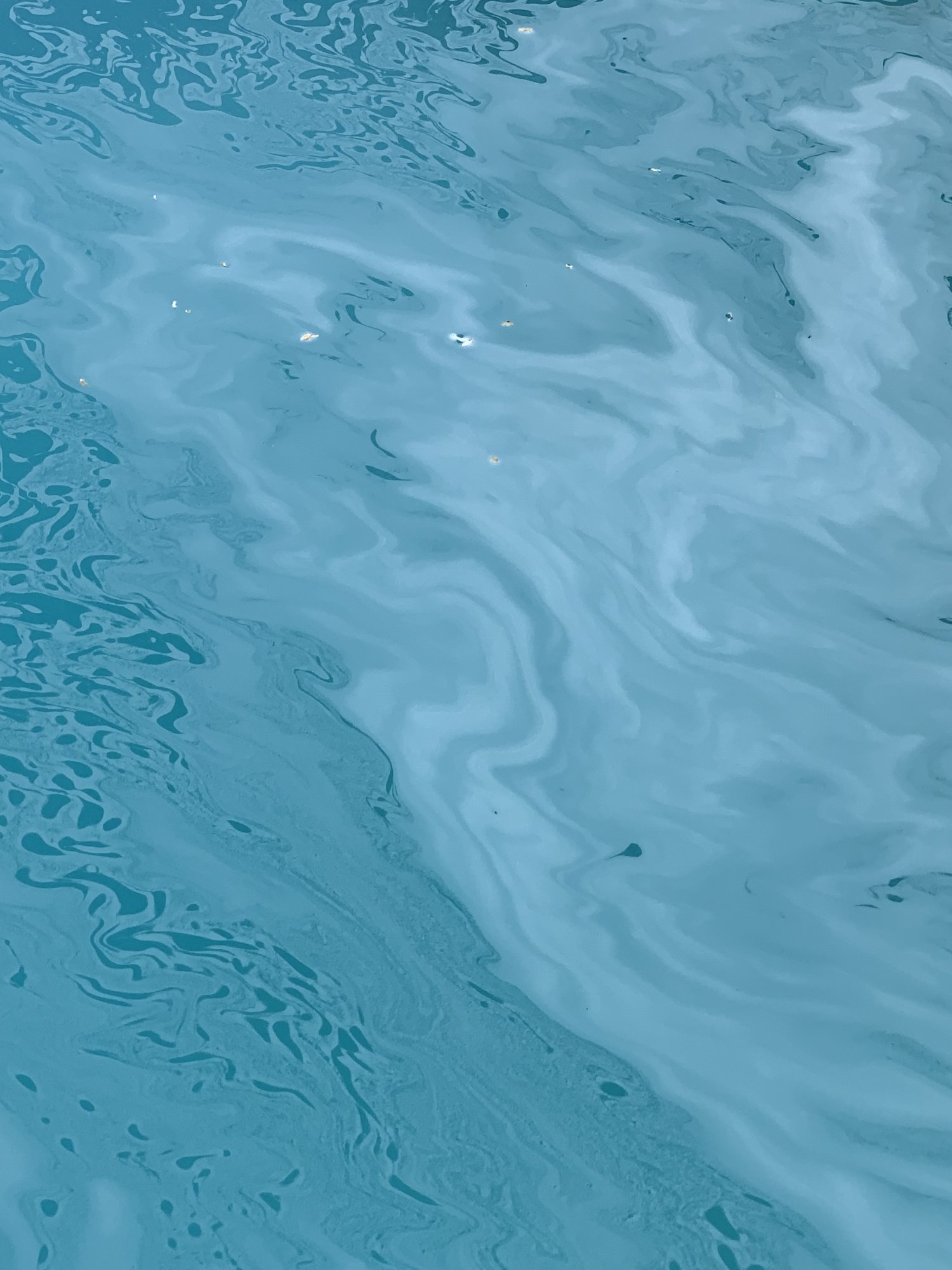 250D03AE-3917-4F55-8541-0F39B8F2EB2E.jpeg