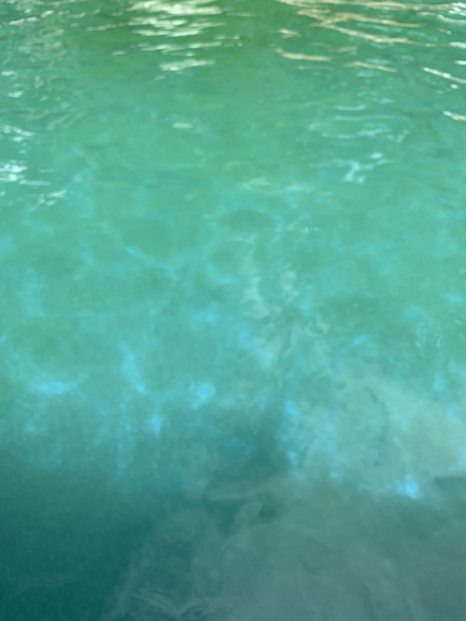 25240E80-C752-4B08-B238-57B198571743.jpeg