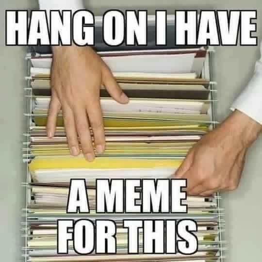 257c2c3799a08a7a3d64585ba7c353df.jpg