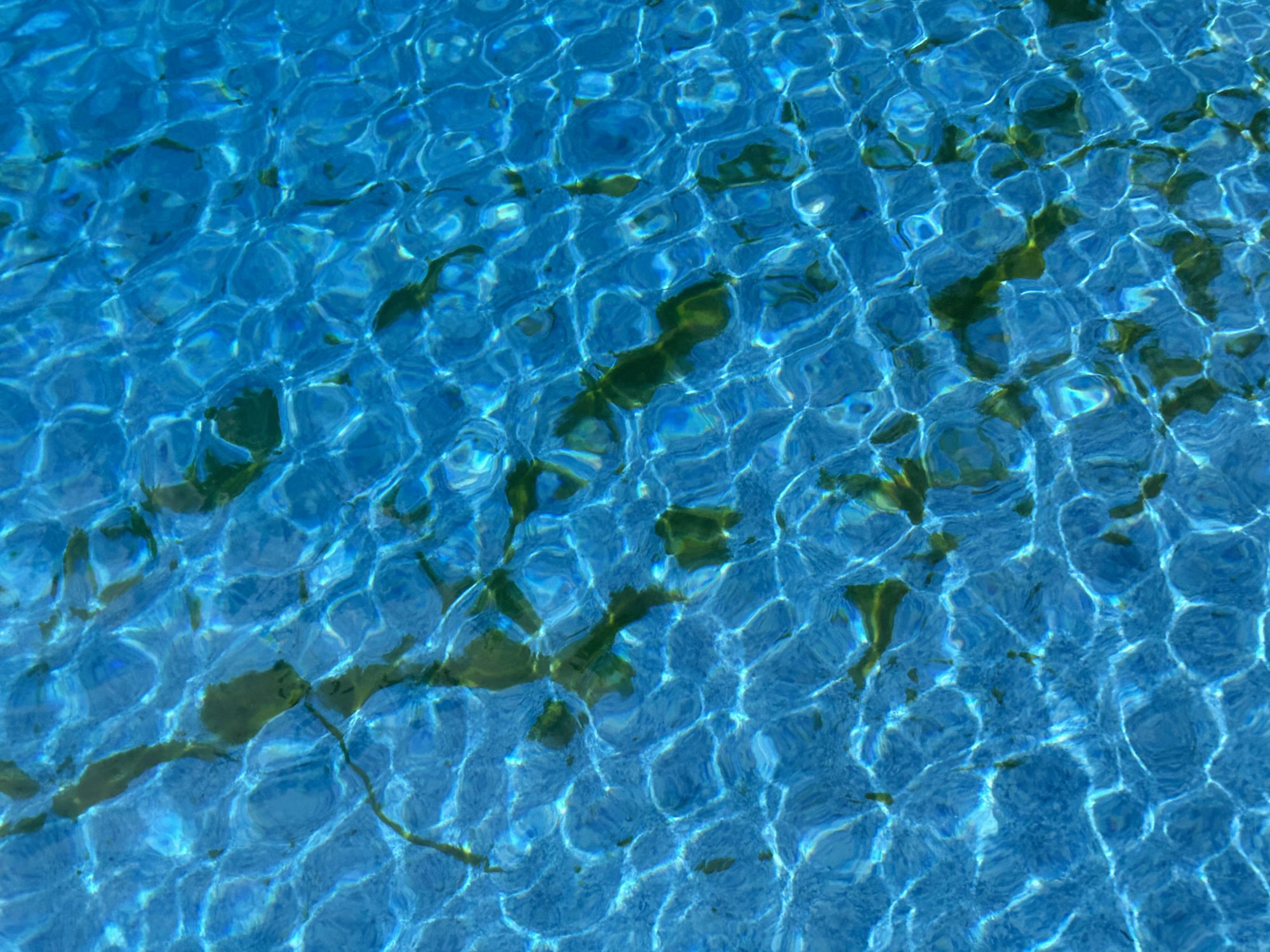 277FC780-F5EC-42A2-8E35-AC24643D9588.jpeg