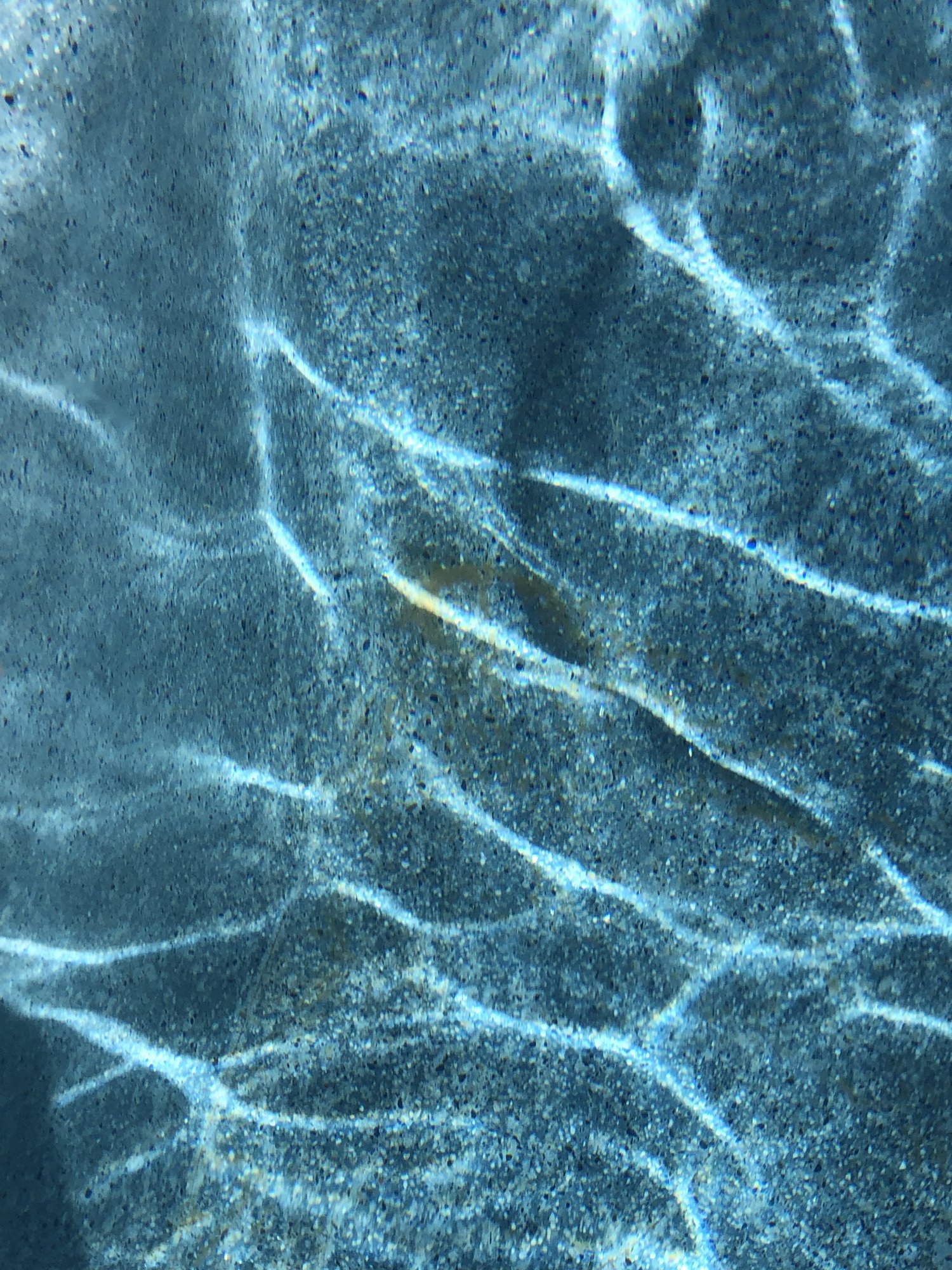 2842EBED-BD56-4604-851F-68BFD8B1F19C.jpeg