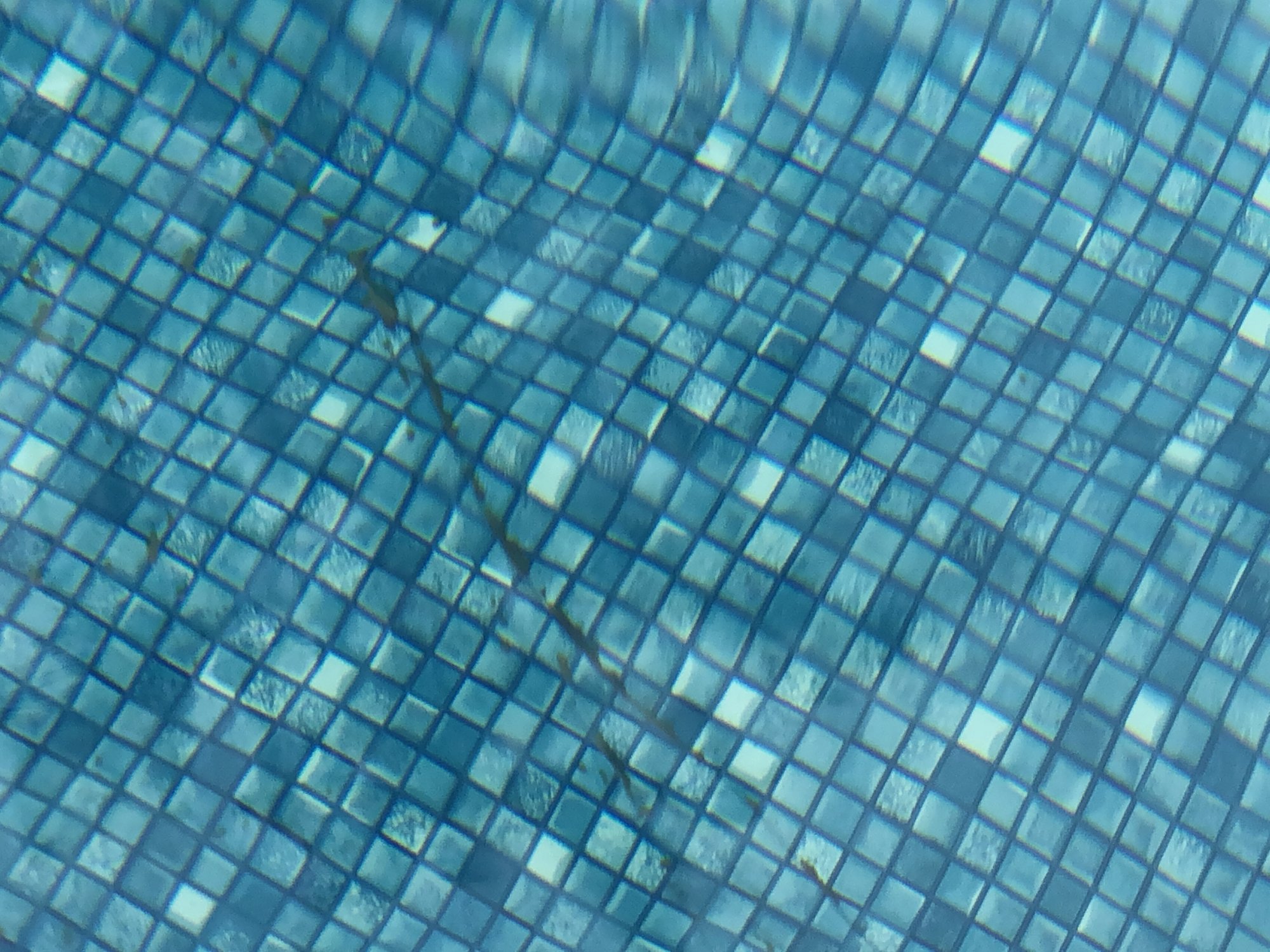 285D13F6-06F3-4F1A-8225-F895F8CBF727.jpeg