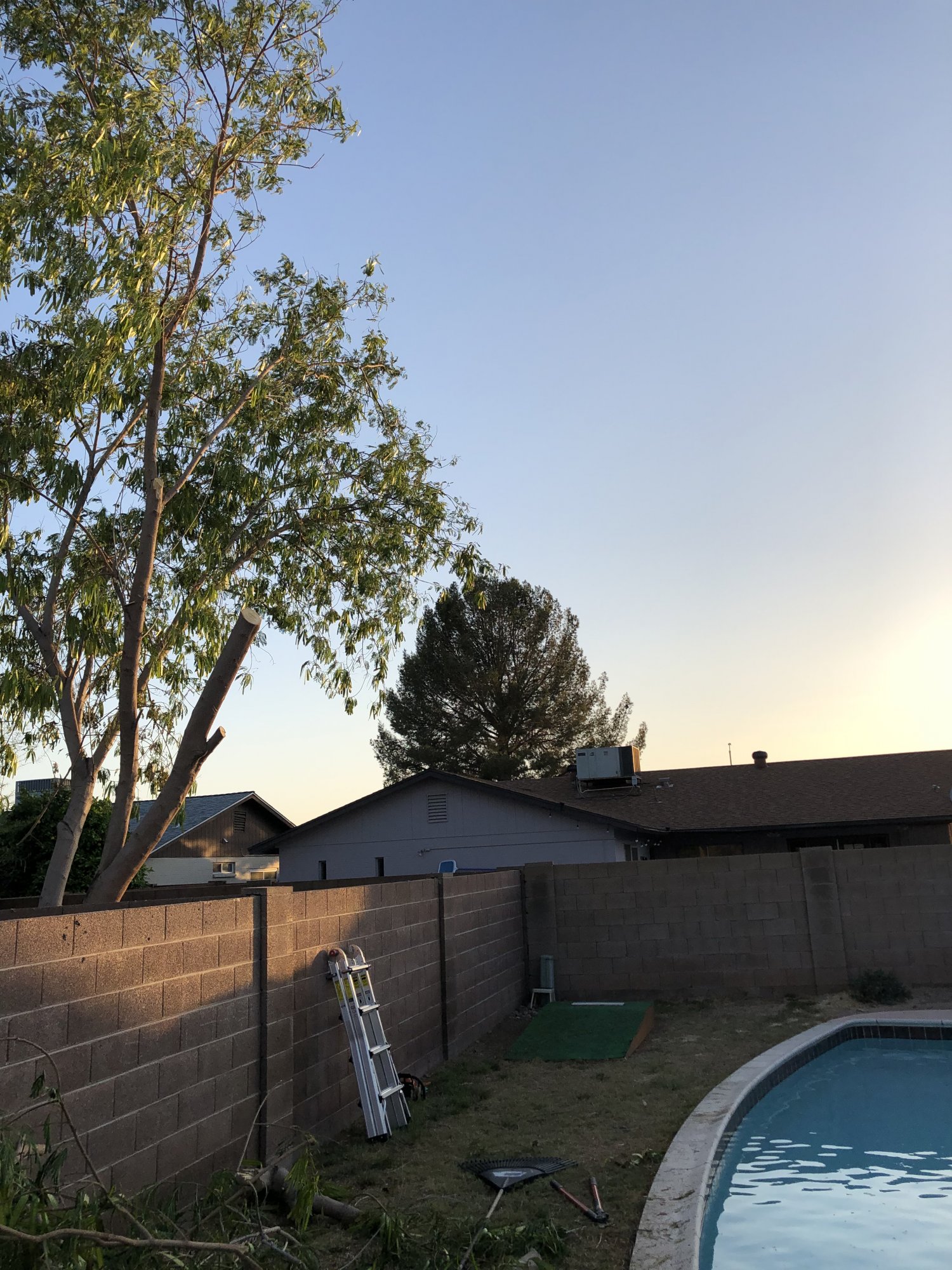 296A180F-9605-45C2-A02D-1E6B984497B3.jpeg