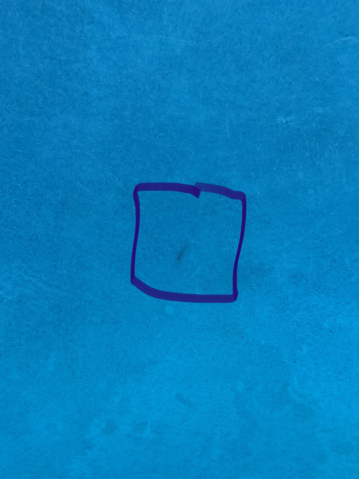 29D1BBF6-CF93-48B0-A42C-6F05A94D8FCC.jpeg