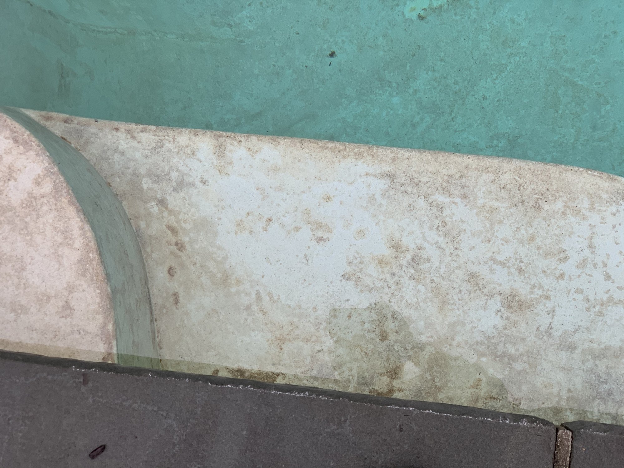 29D7DE73-1F02-4E31-8014-8A0216BC5179.jpeg