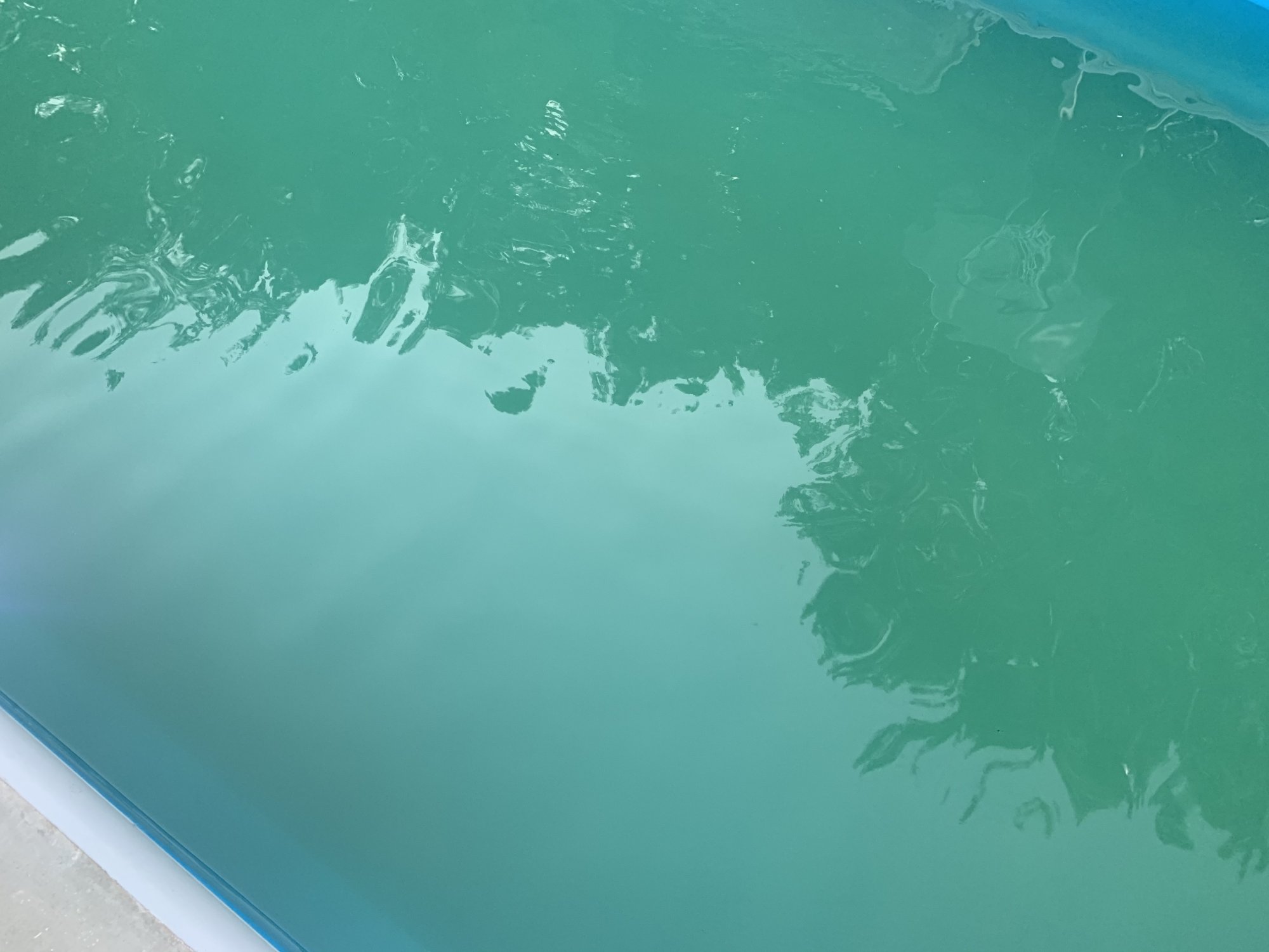 2E7605D6-12A4-43D4-B2BC-97F00018E8FF.jpeg