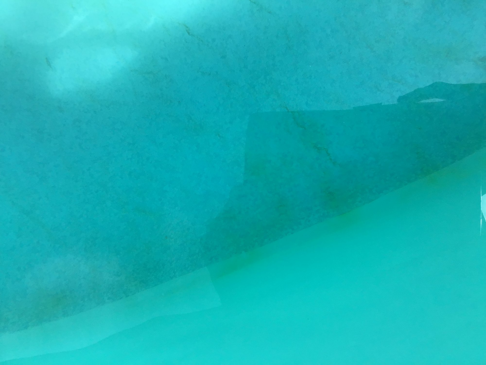 2FE81AA8-A8D7-42FA-B9FD-54881460008D.jpeg