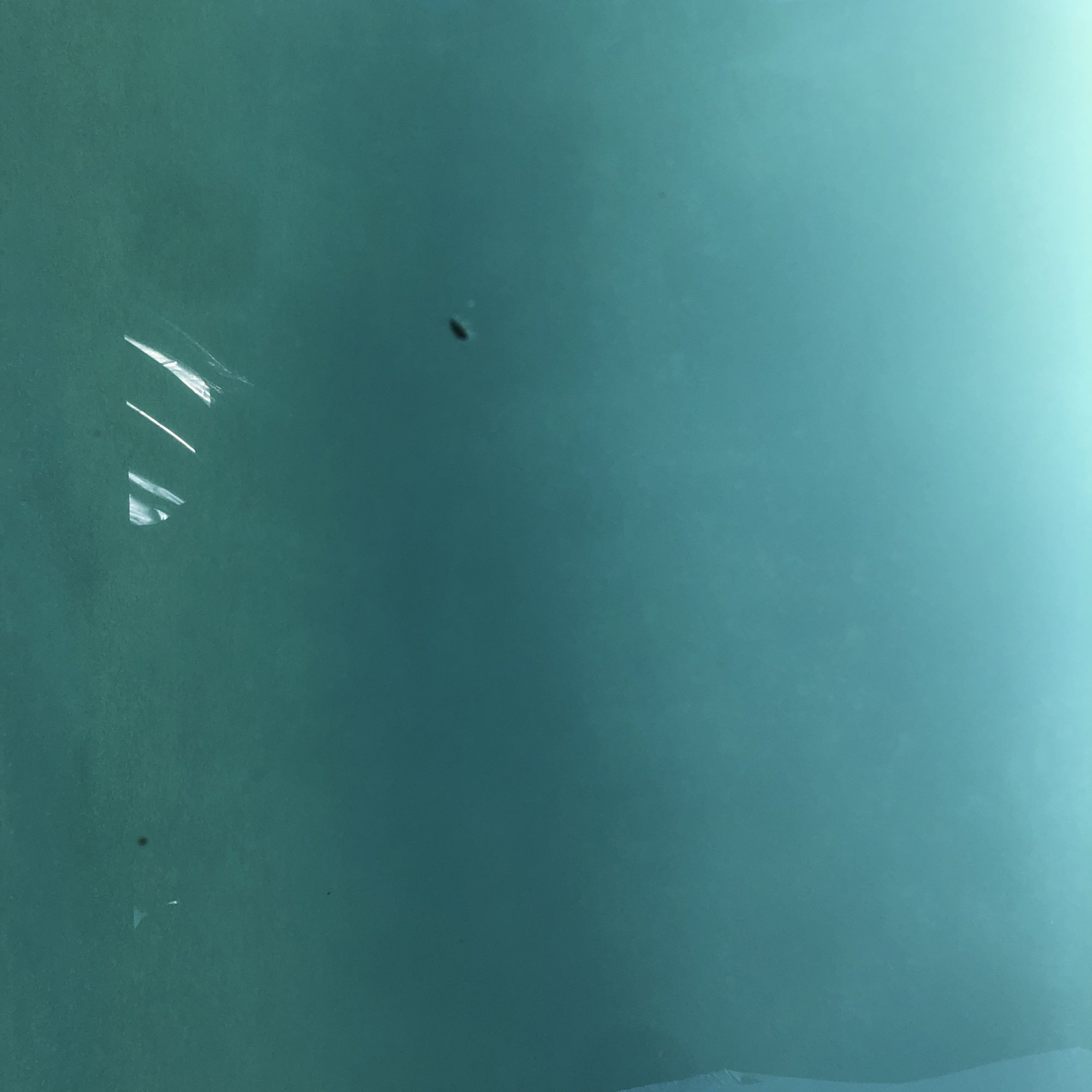 30892DB9-D55A-43C3-8BB9-F92D40F088E1.jpeg