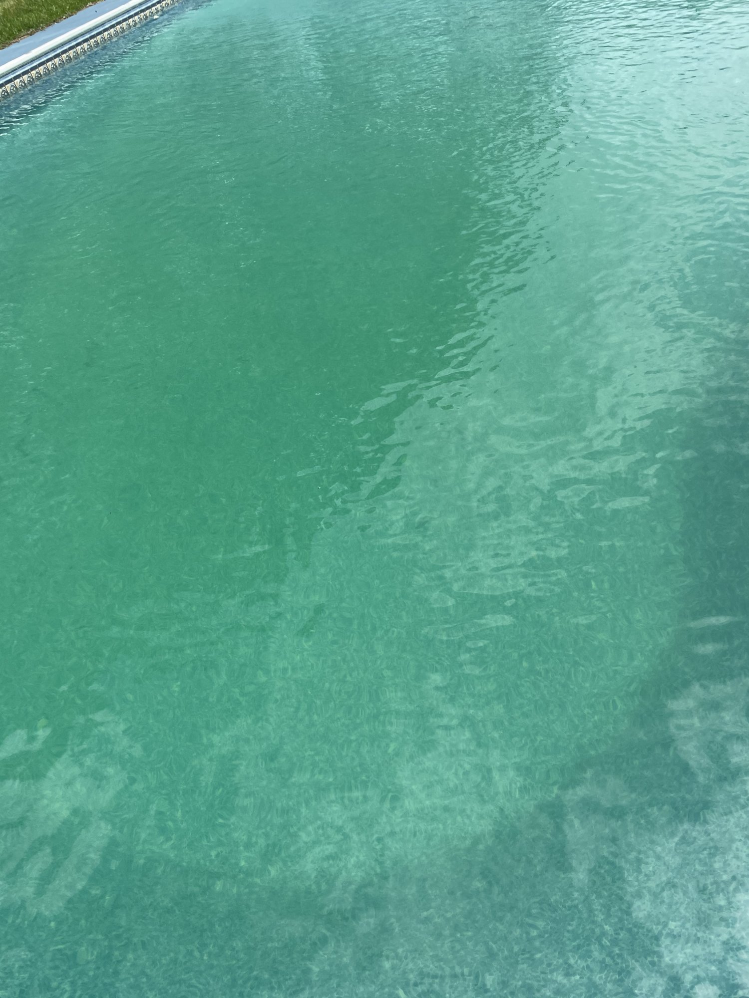 308F2B0C-24A3-4E0D-9623-4F33F2821C98.jpeg