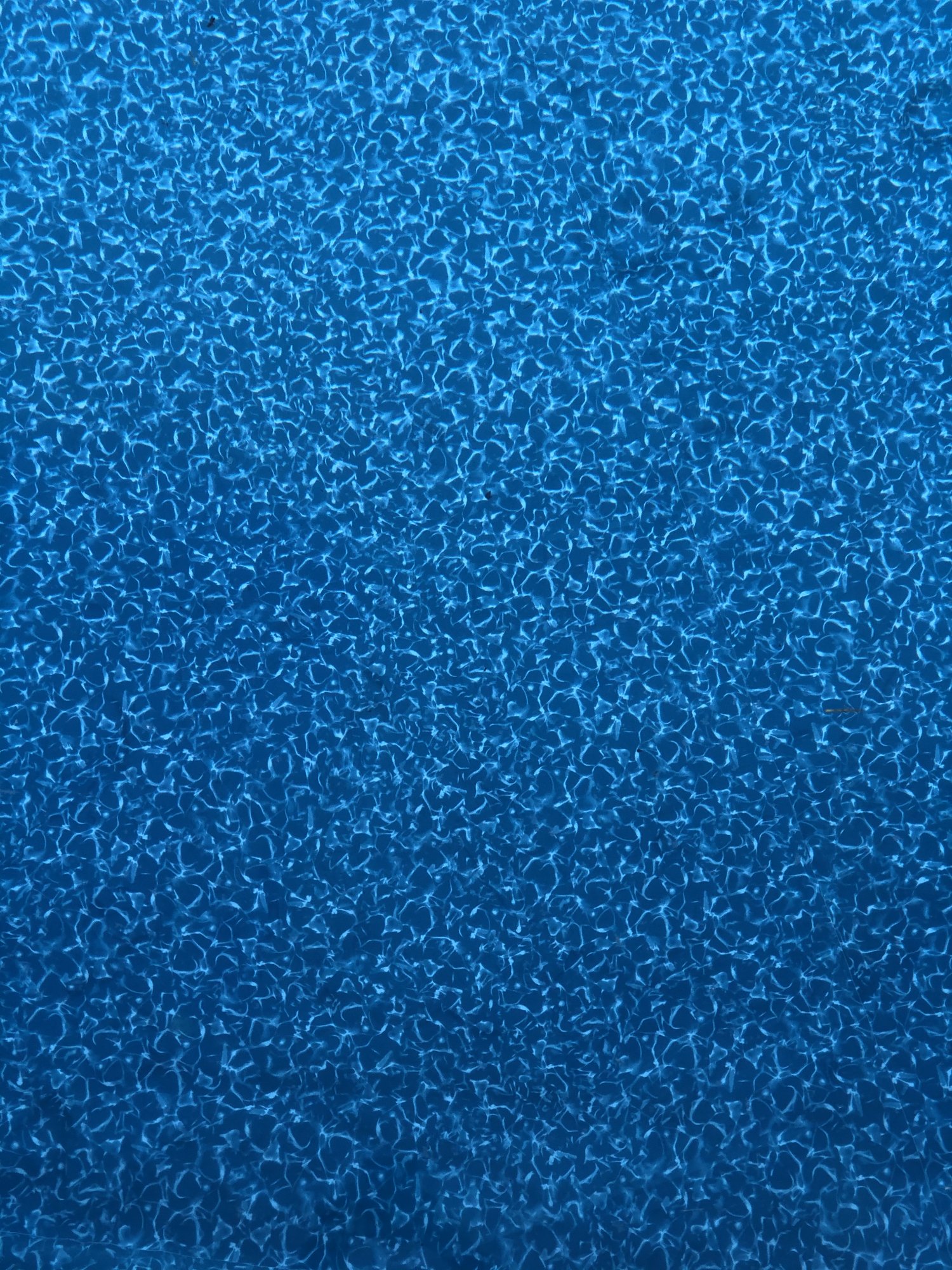 3196B702-1643-4E5C-9884-8BF23015A082.jpeg